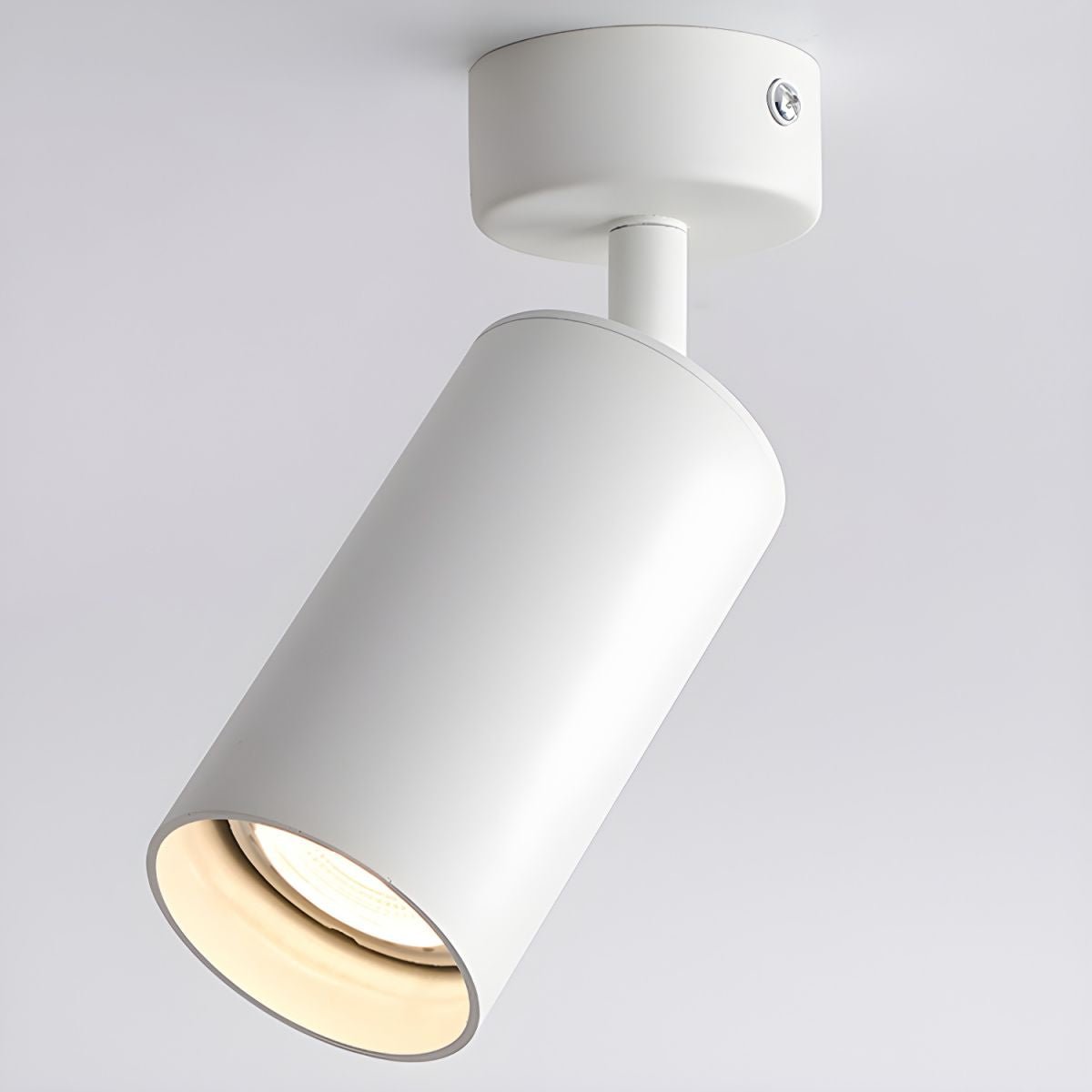 Alzo Spotlight Plafondlamp