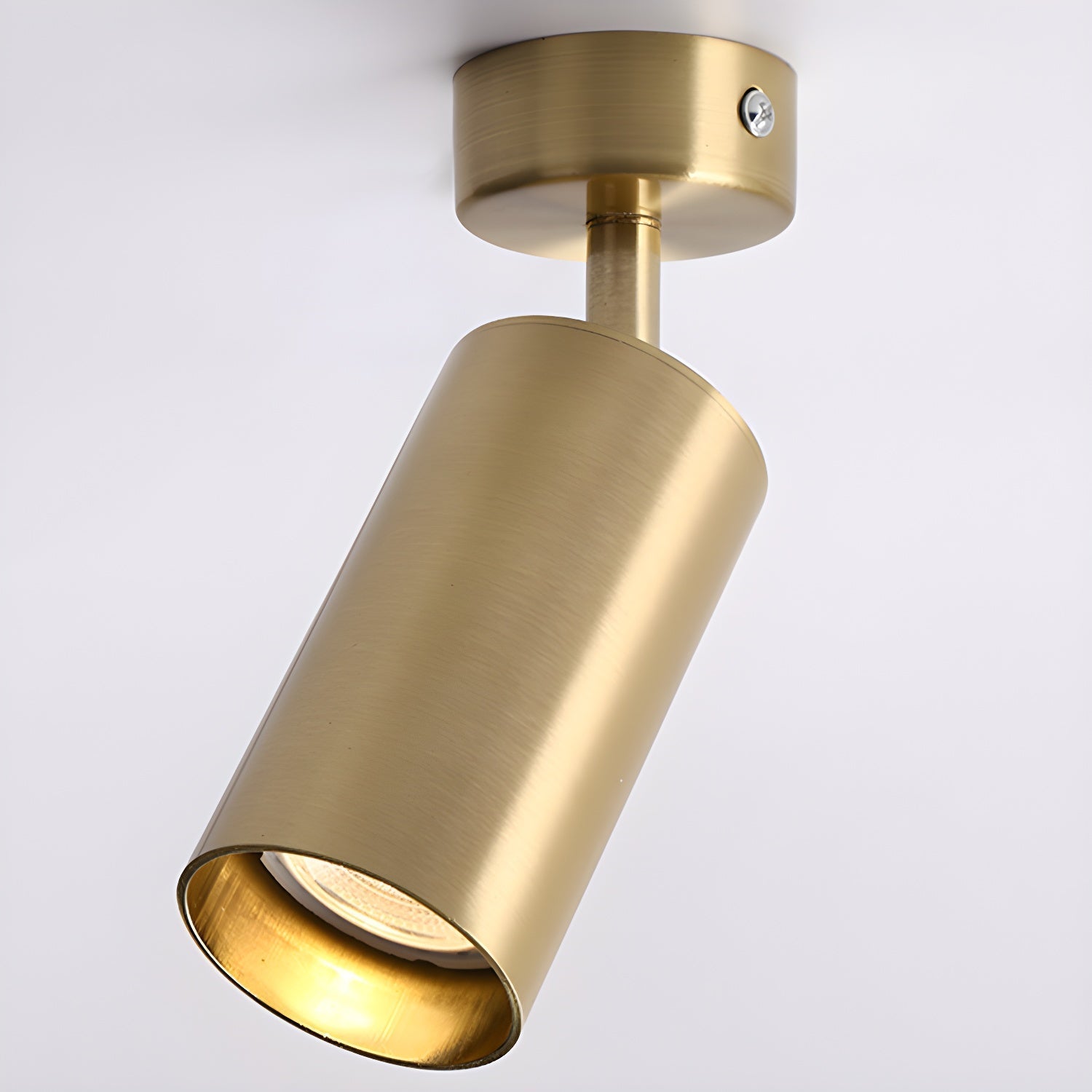Alzo Spotlight Plafondlamp