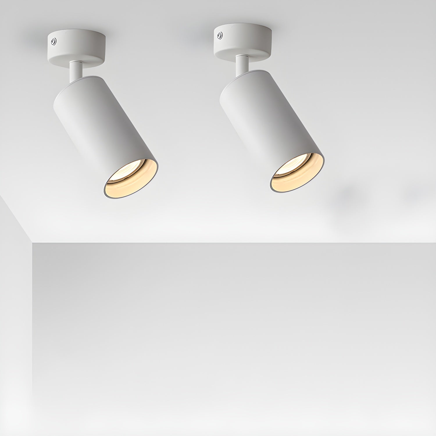 Alzo Spotlight Plafondlamp
