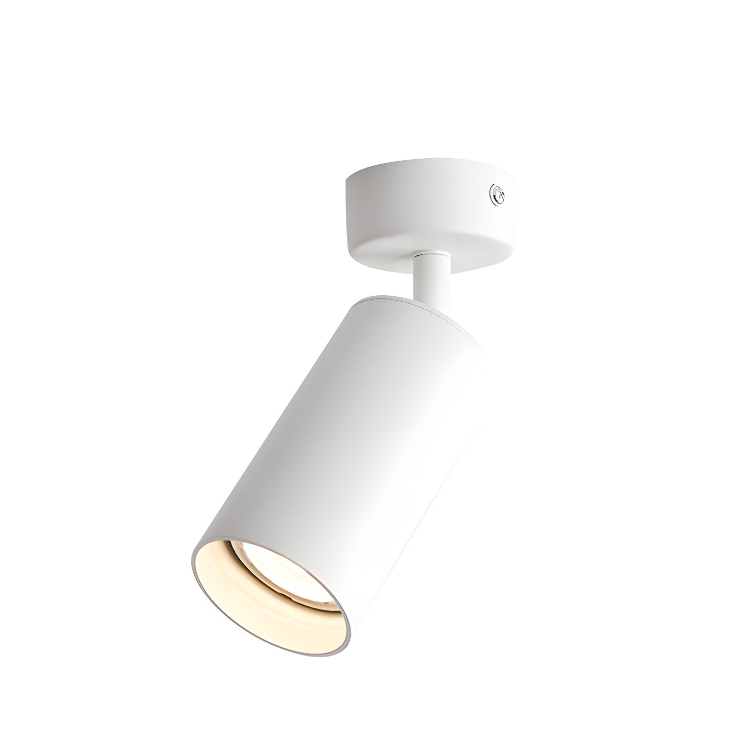Alzo Spotlight Plafondlamp