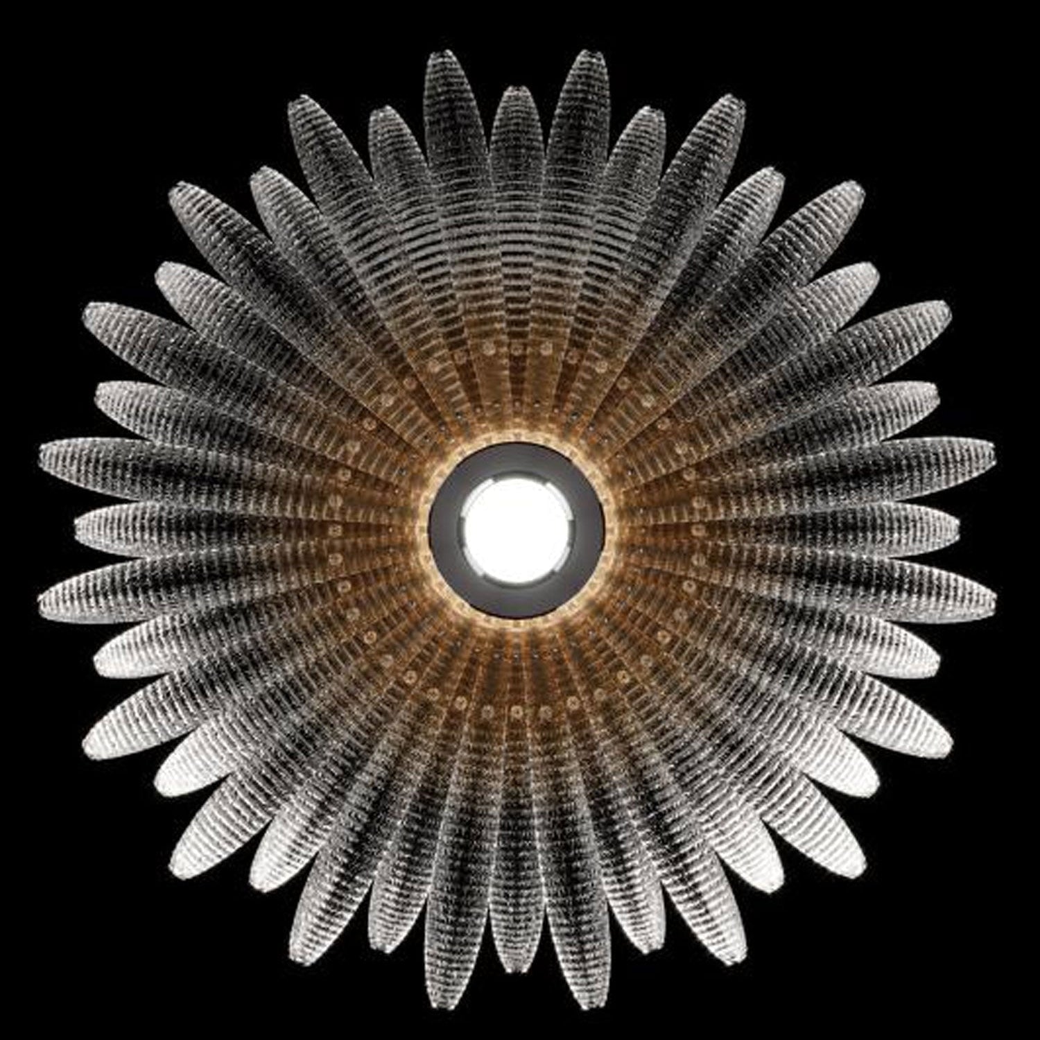 Moveyna Plafondlamp