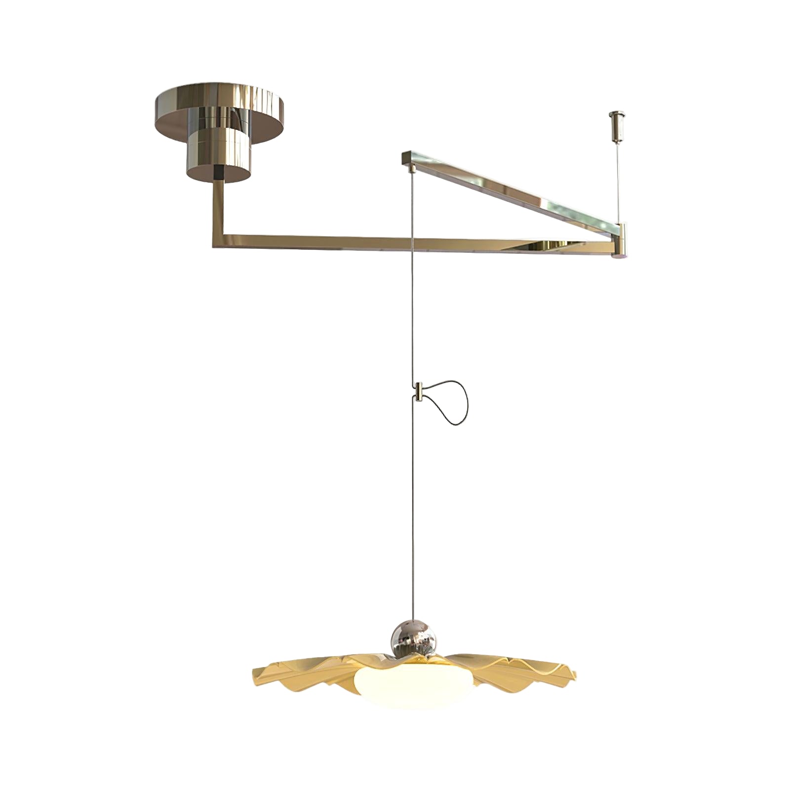 Bloze Flower Swing Arm Hanglamp