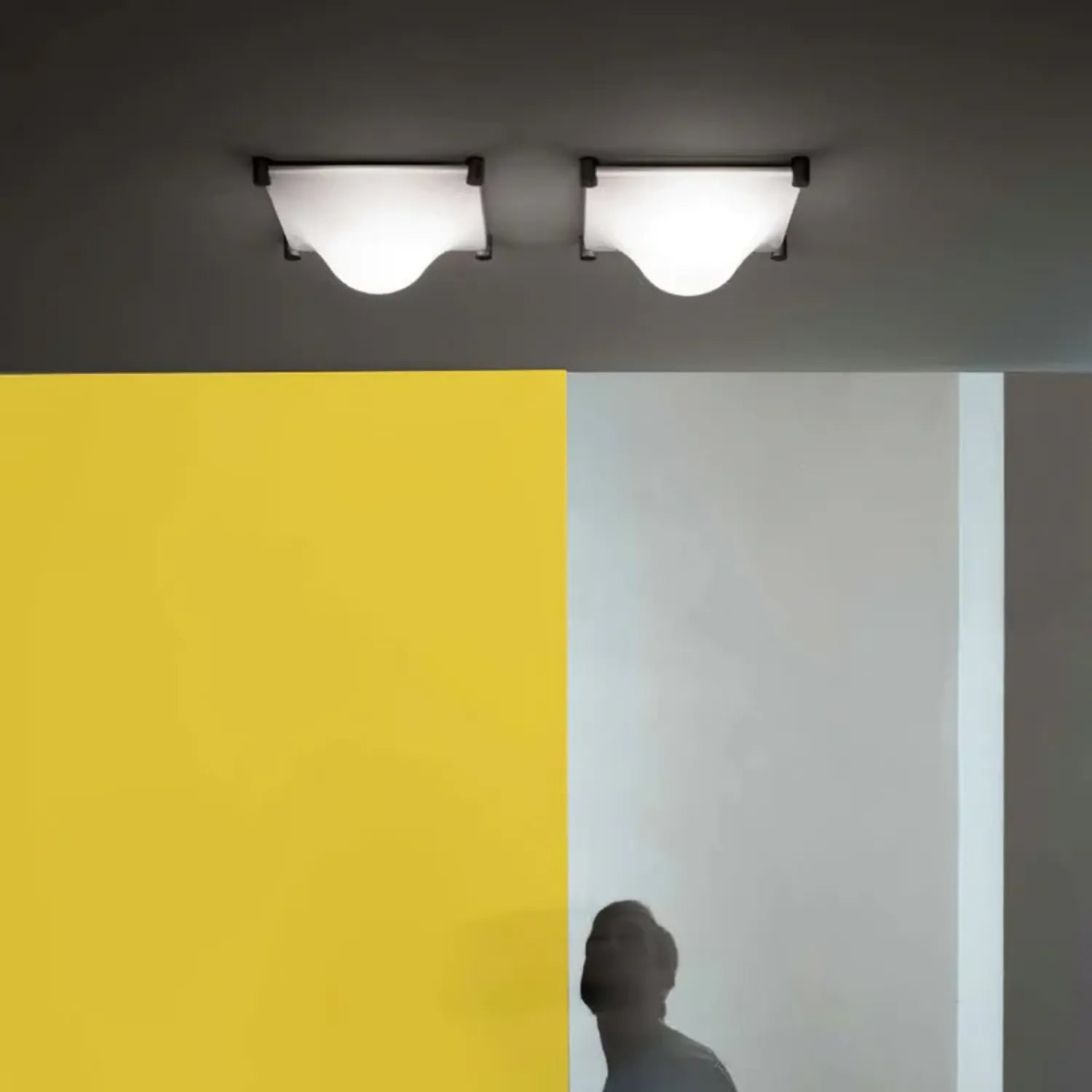 Cebolla Planfondlamp