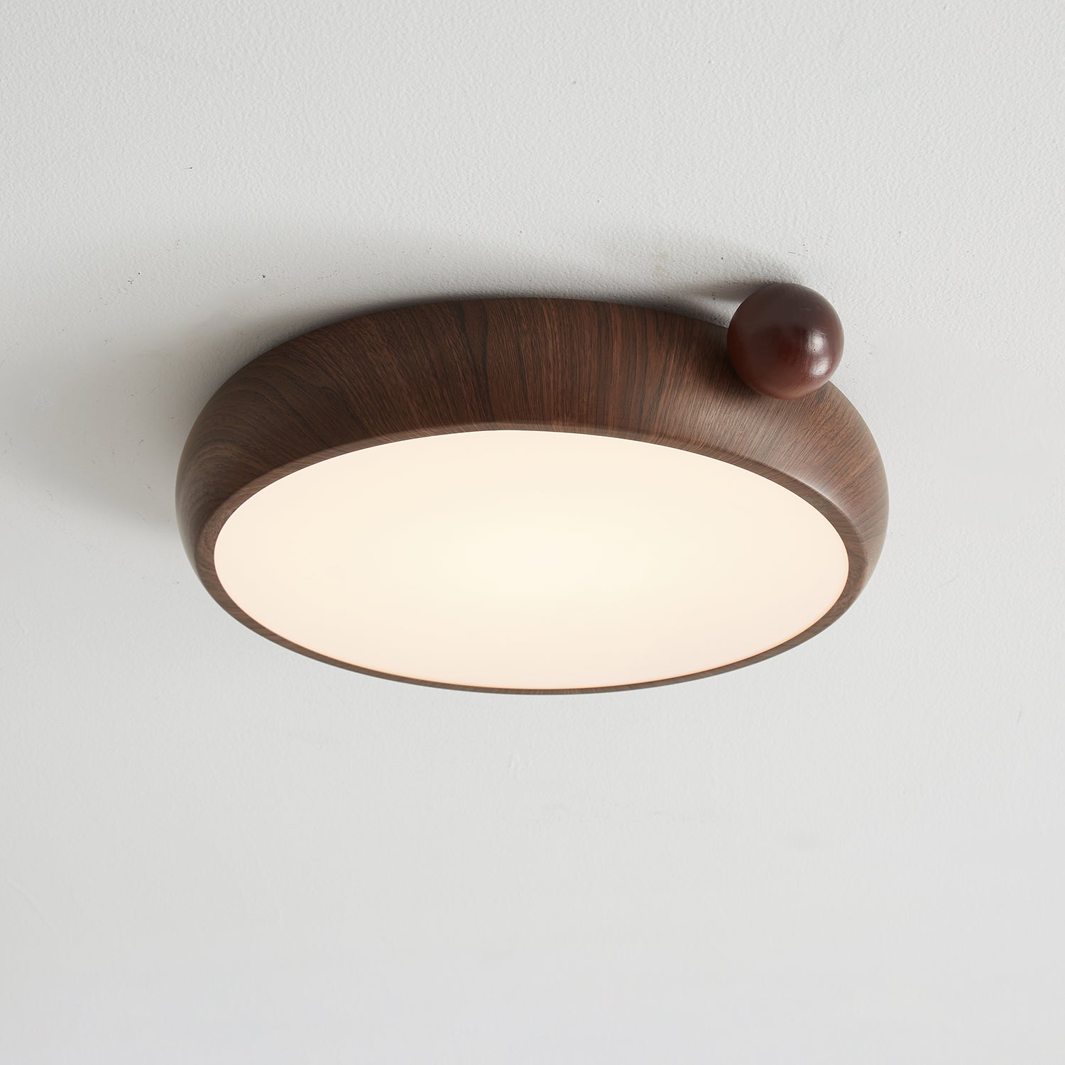 Lecaniva Plafondlamp