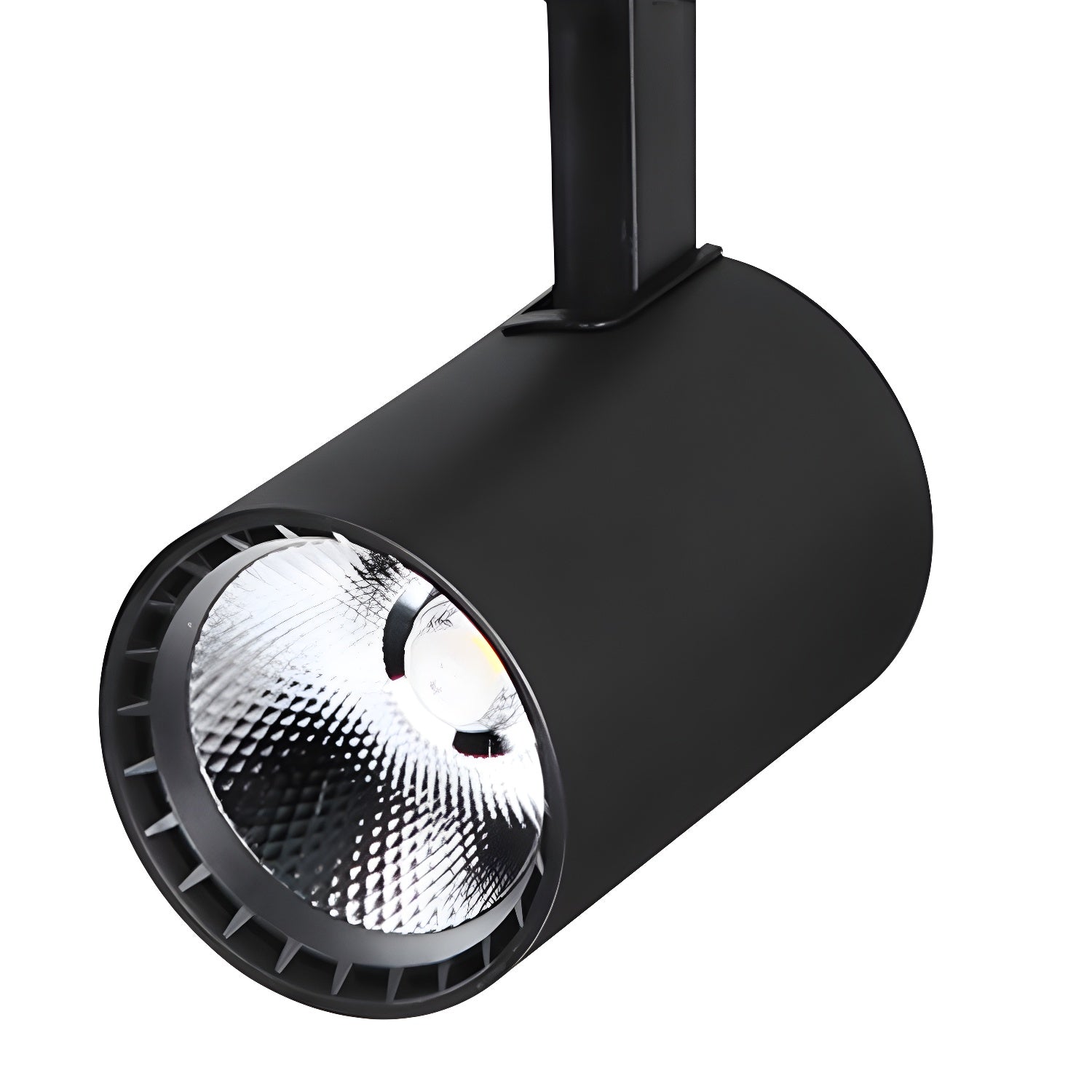 Domes Plafondlamp
