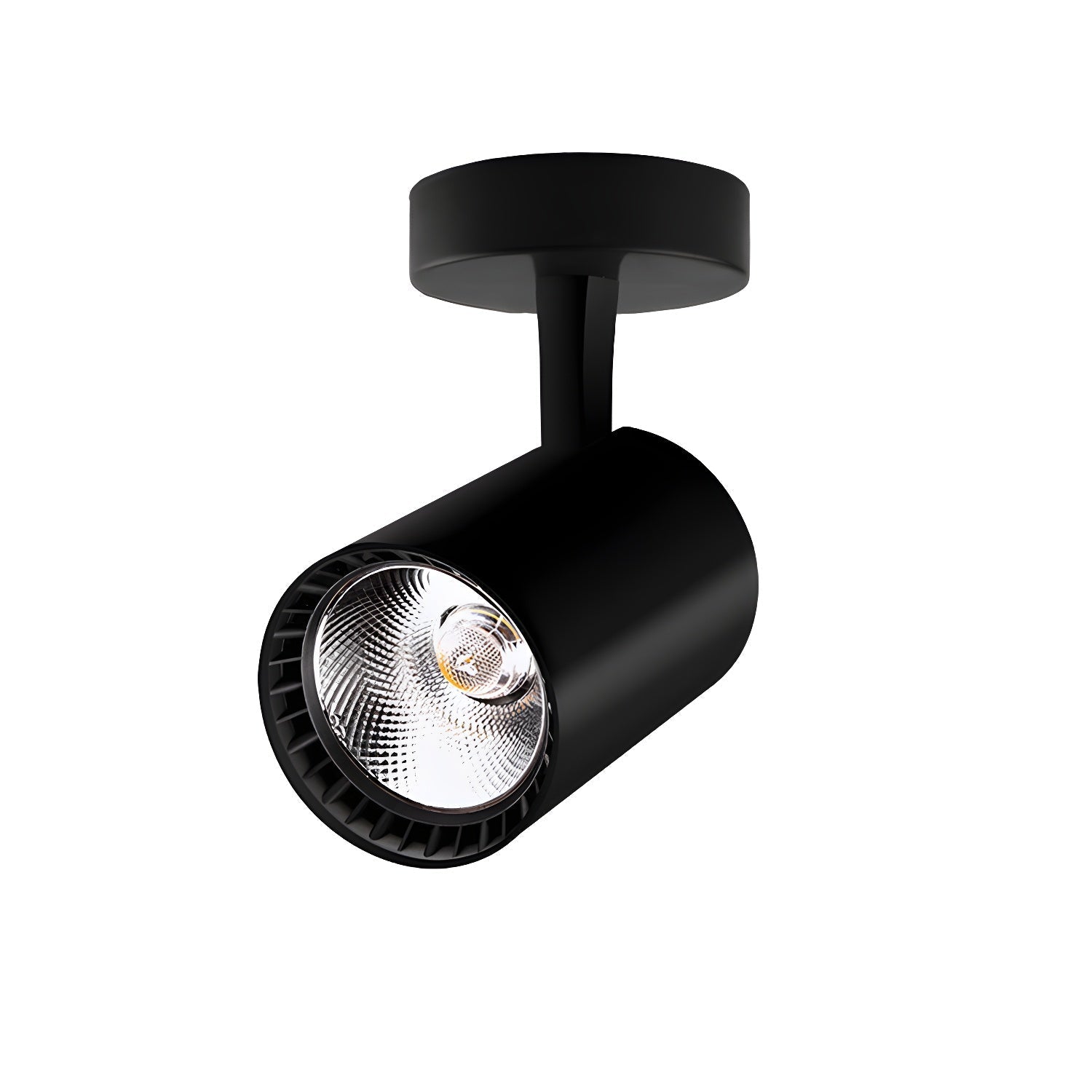 Domes Plafondlamp