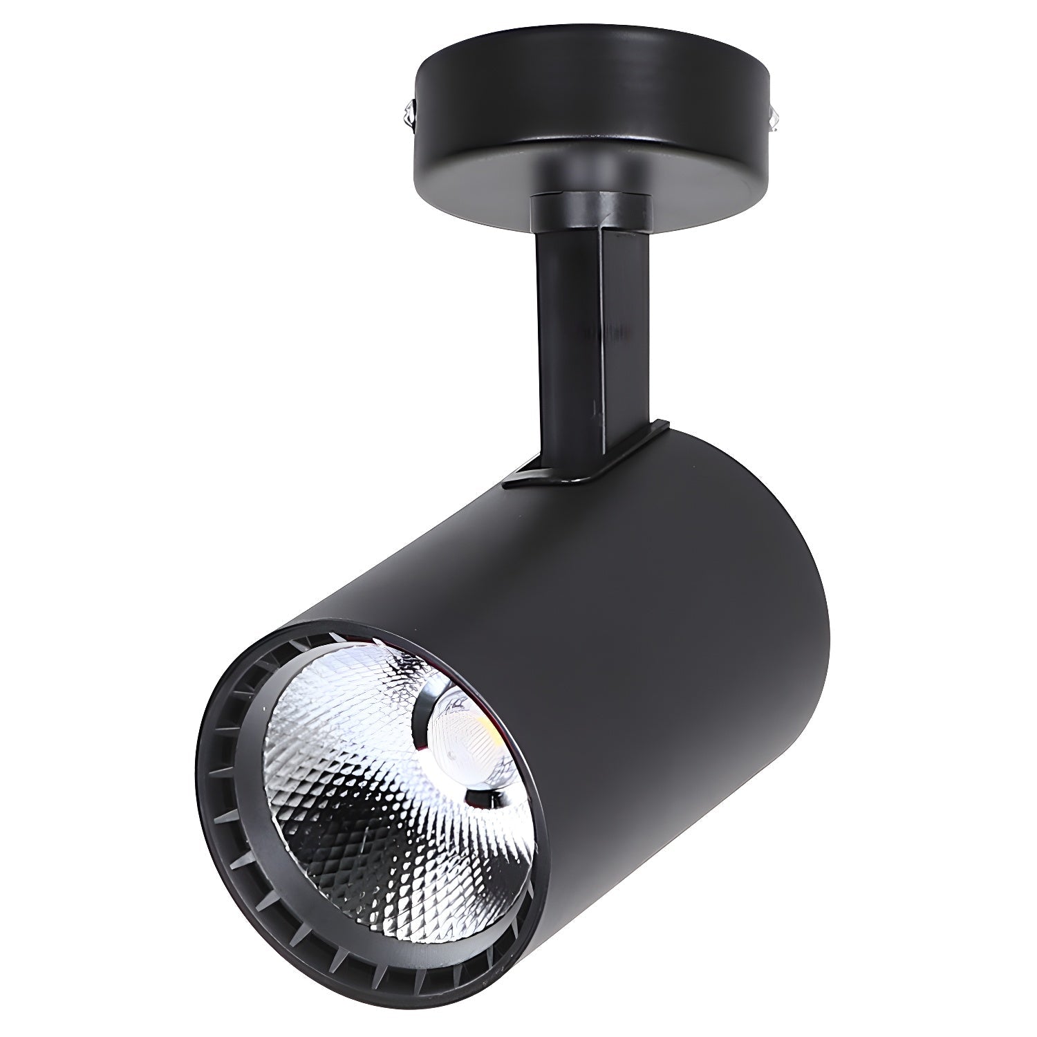 Domes Plafondlamp