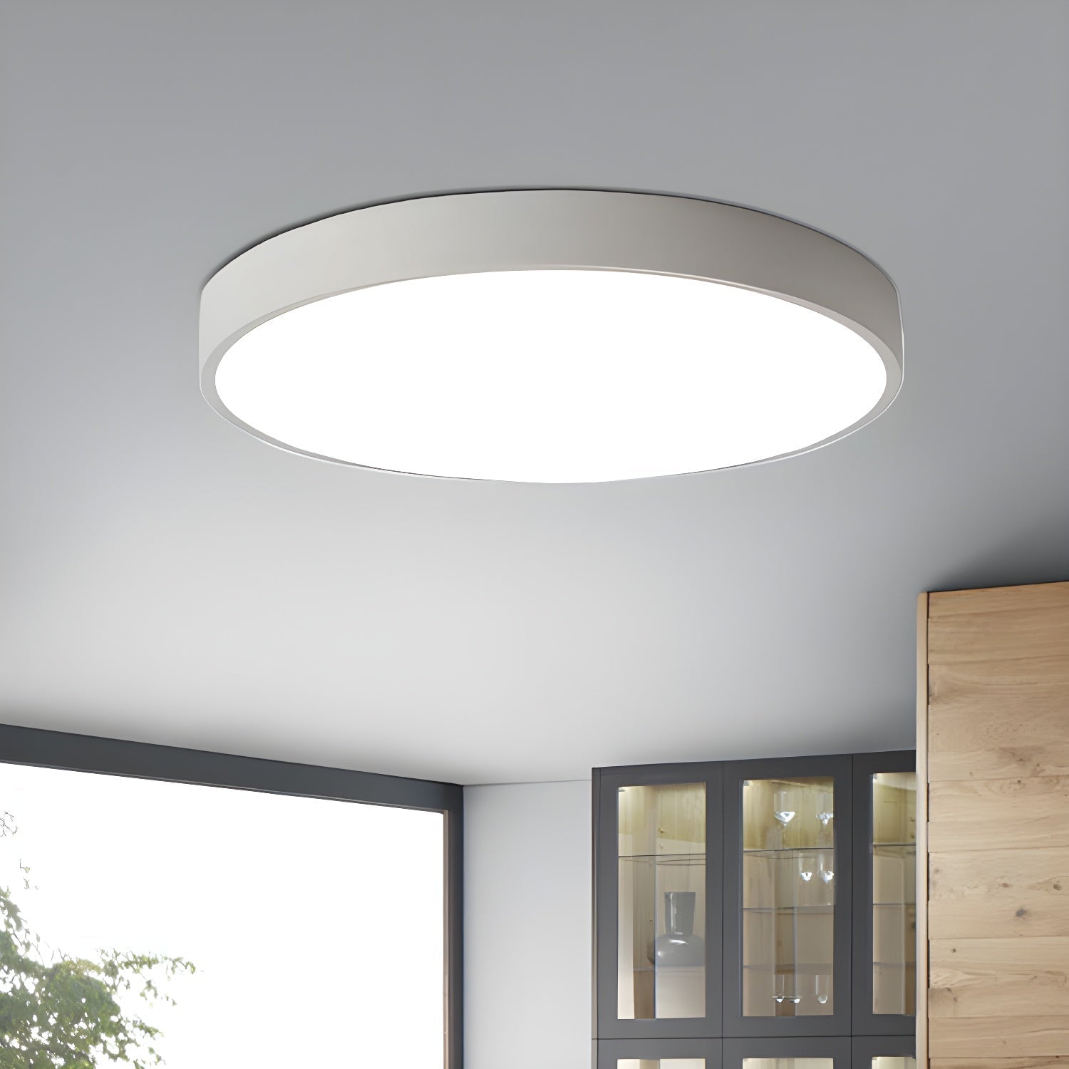 Diso Vlakke Plafondlamp
