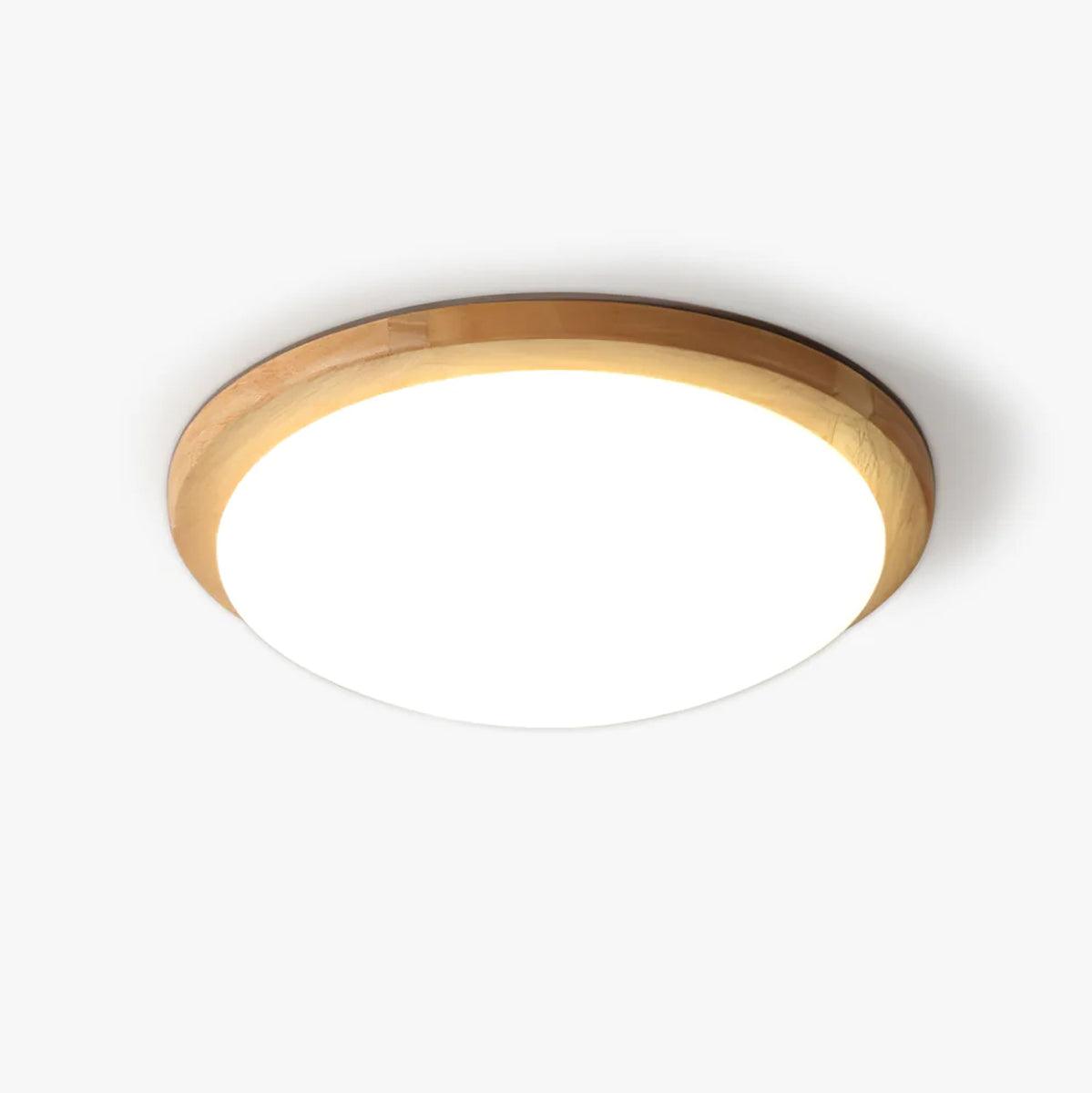 Domesc Plafondlamp