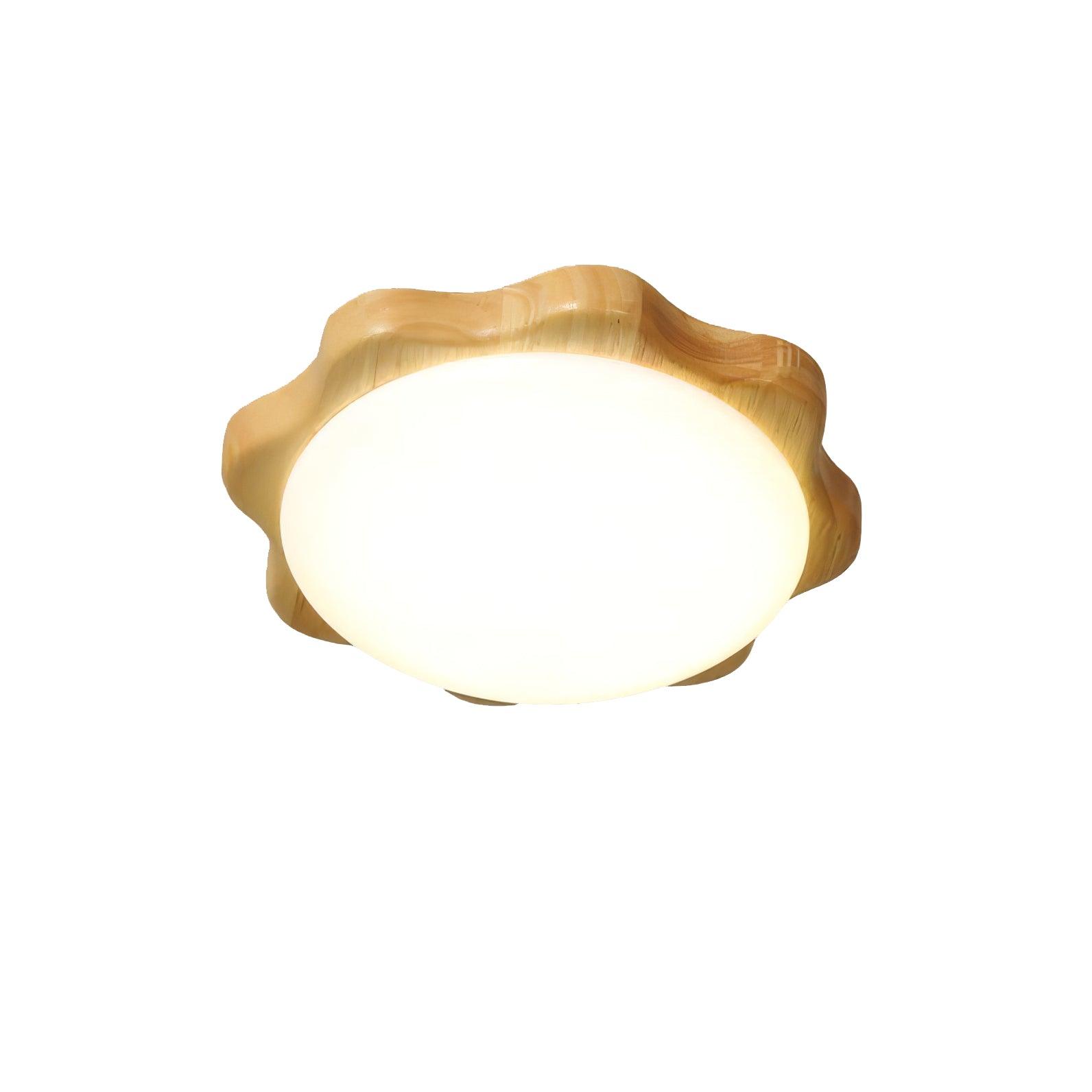 Domesc Plafondlamp