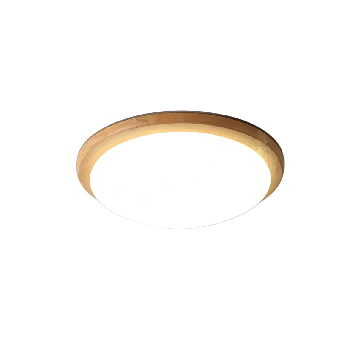 Domesc Plafondlamp