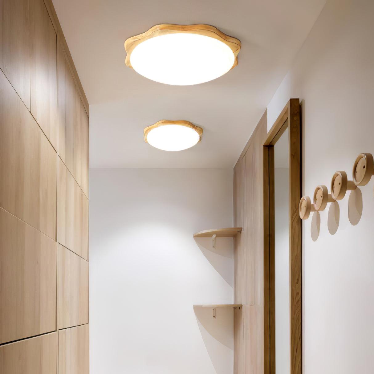 Domesc Plafondlamp