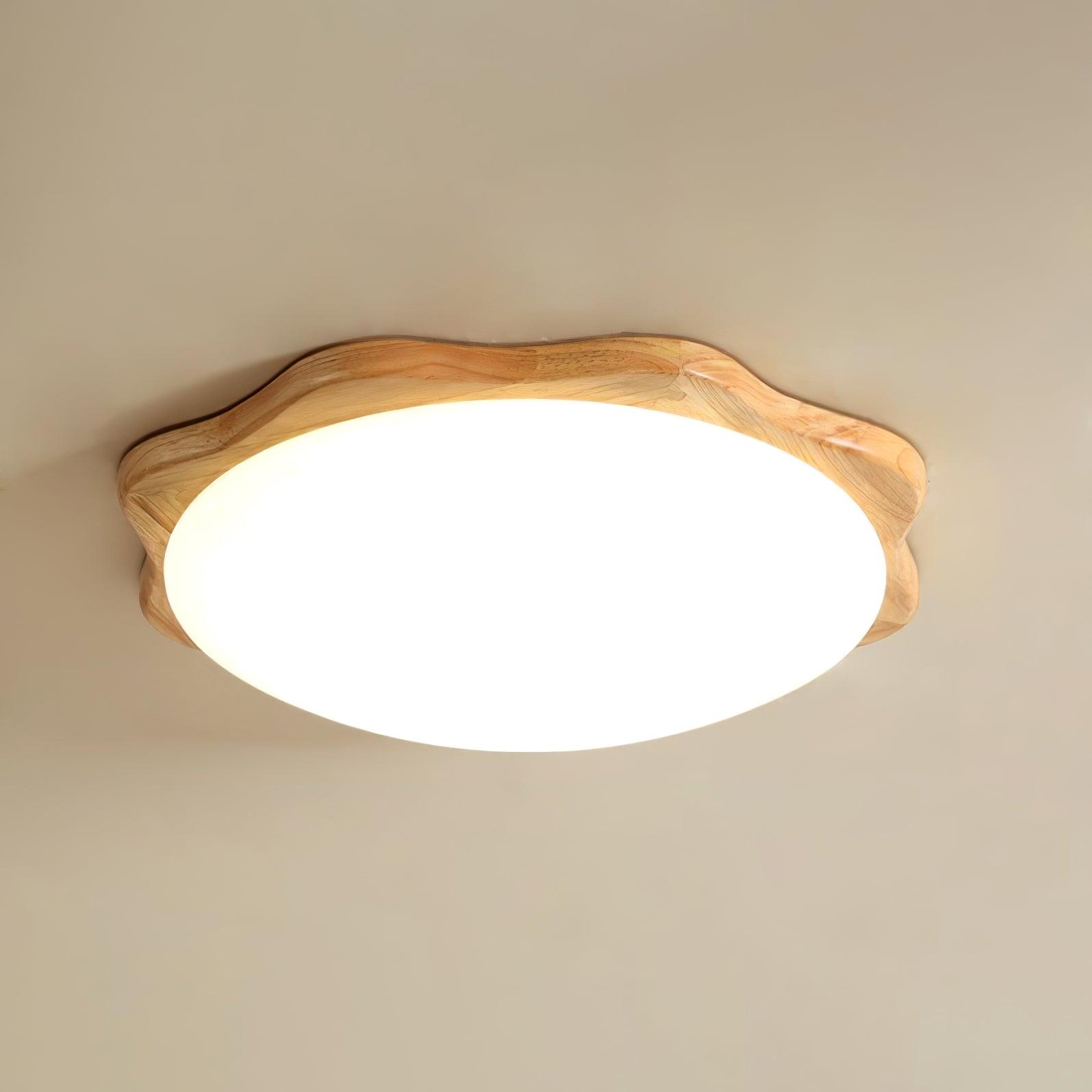 Domesc Plafondlamp