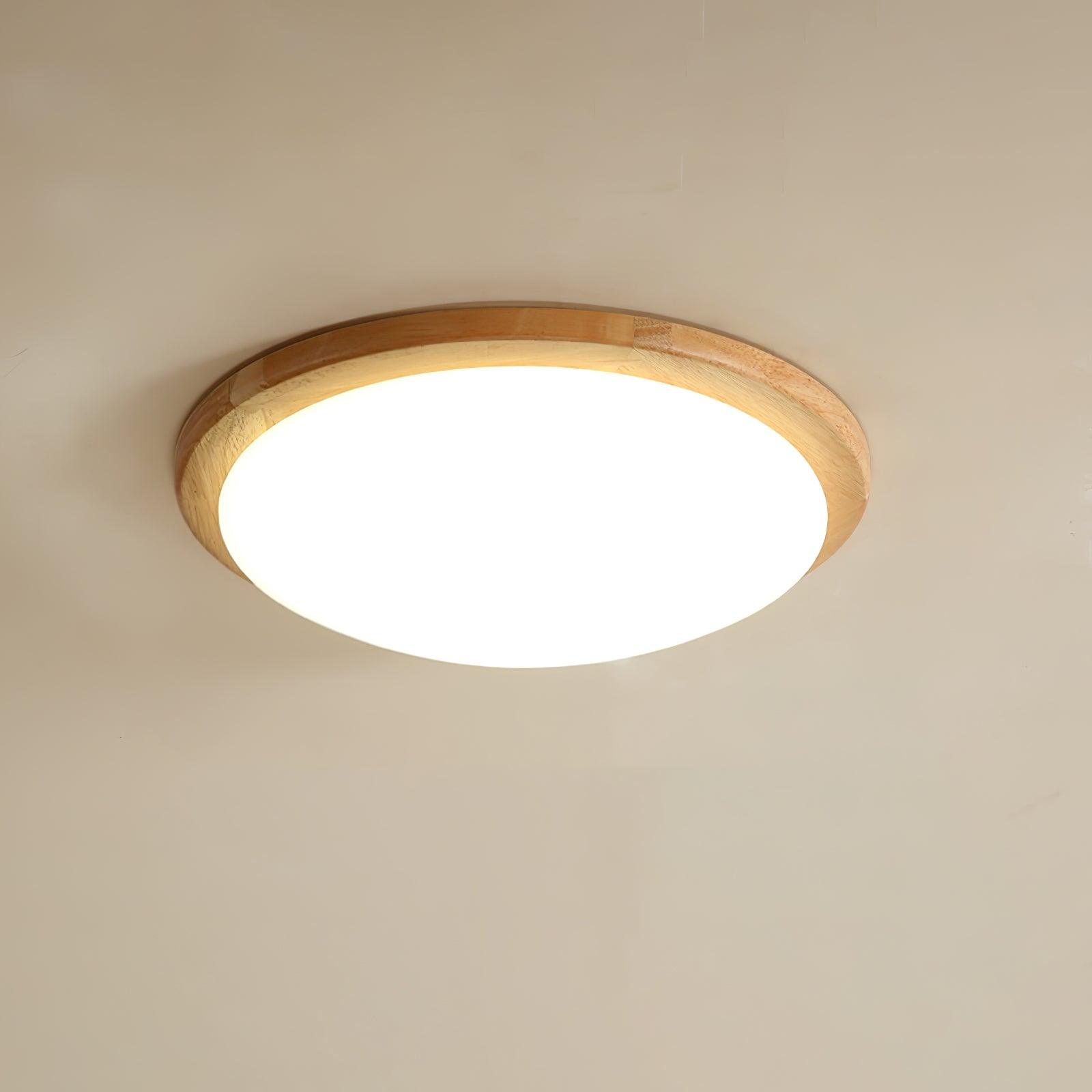 Domesc Plafondlamp