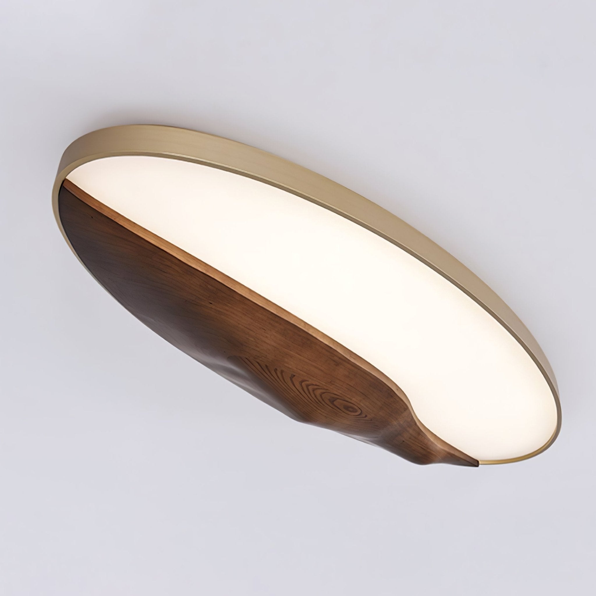 Geo Landscape Planfondlamp