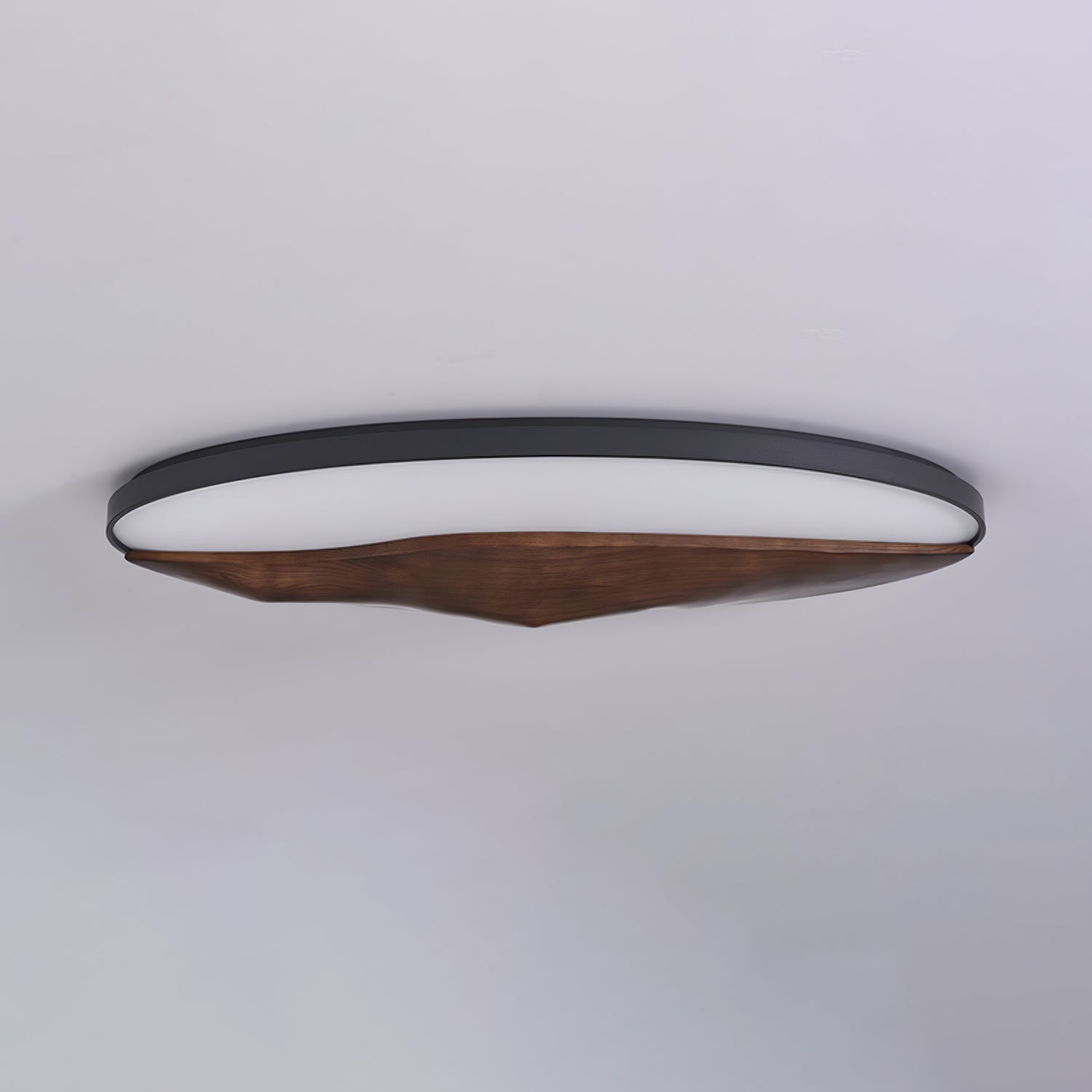 Geo Landscape Planfondlamp