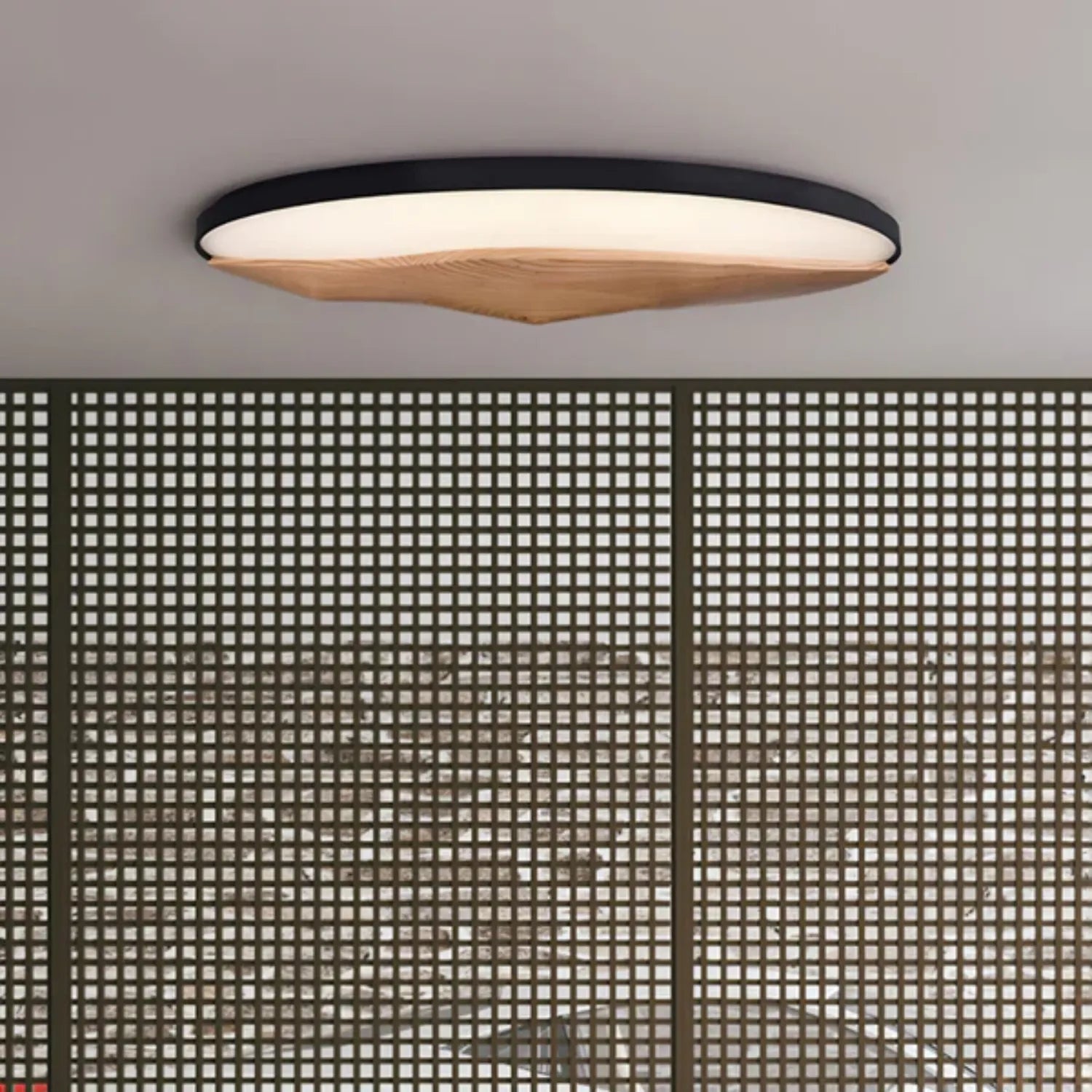 Geo Landscape Planfondlamp