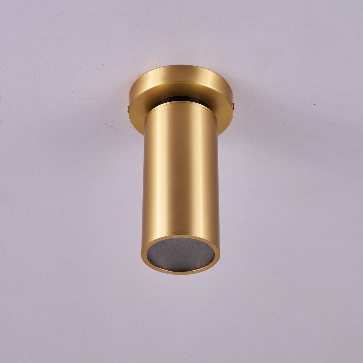 Bolizo Plafondlamp