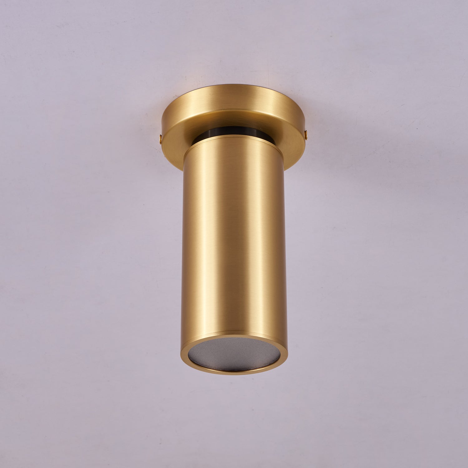 Bolizo Plafondlamp
