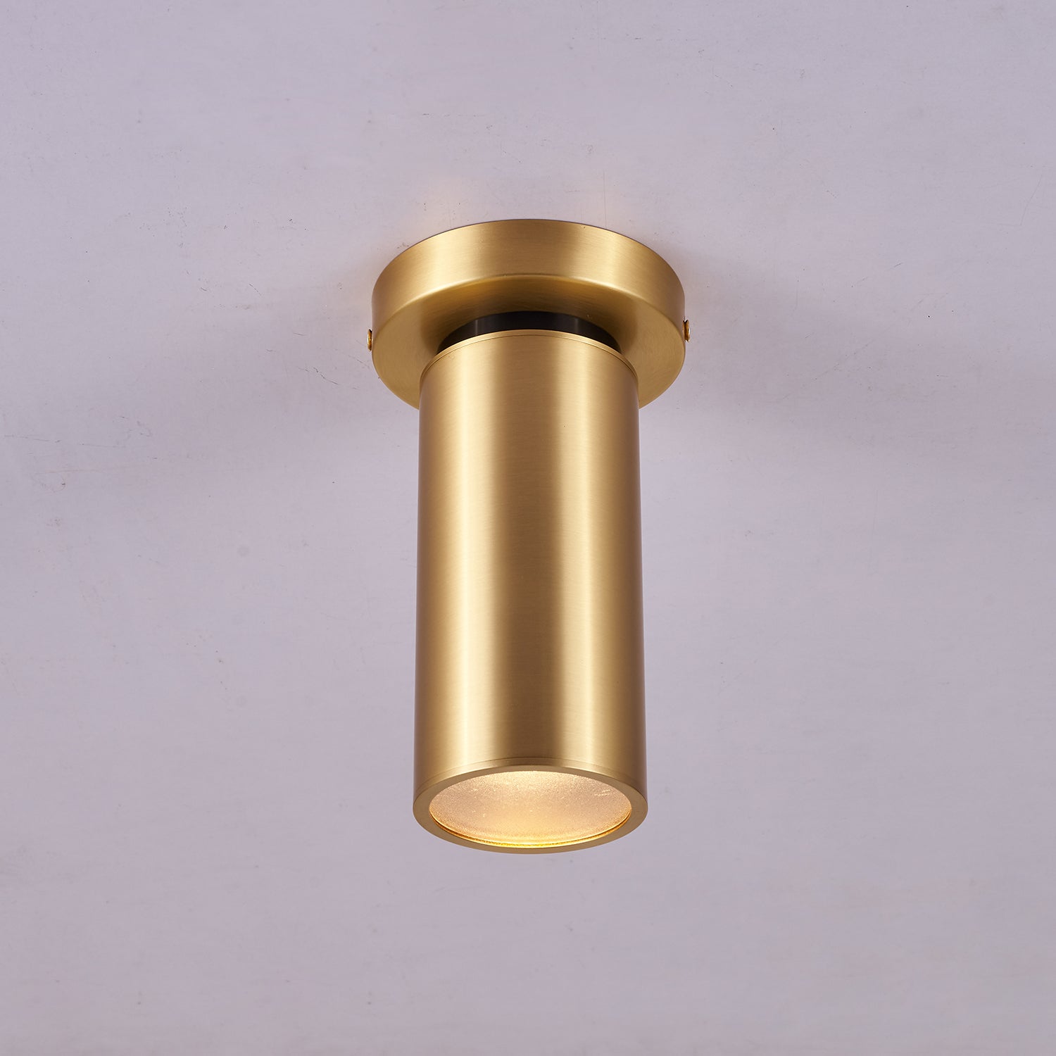 Bolizo Plafondlamp