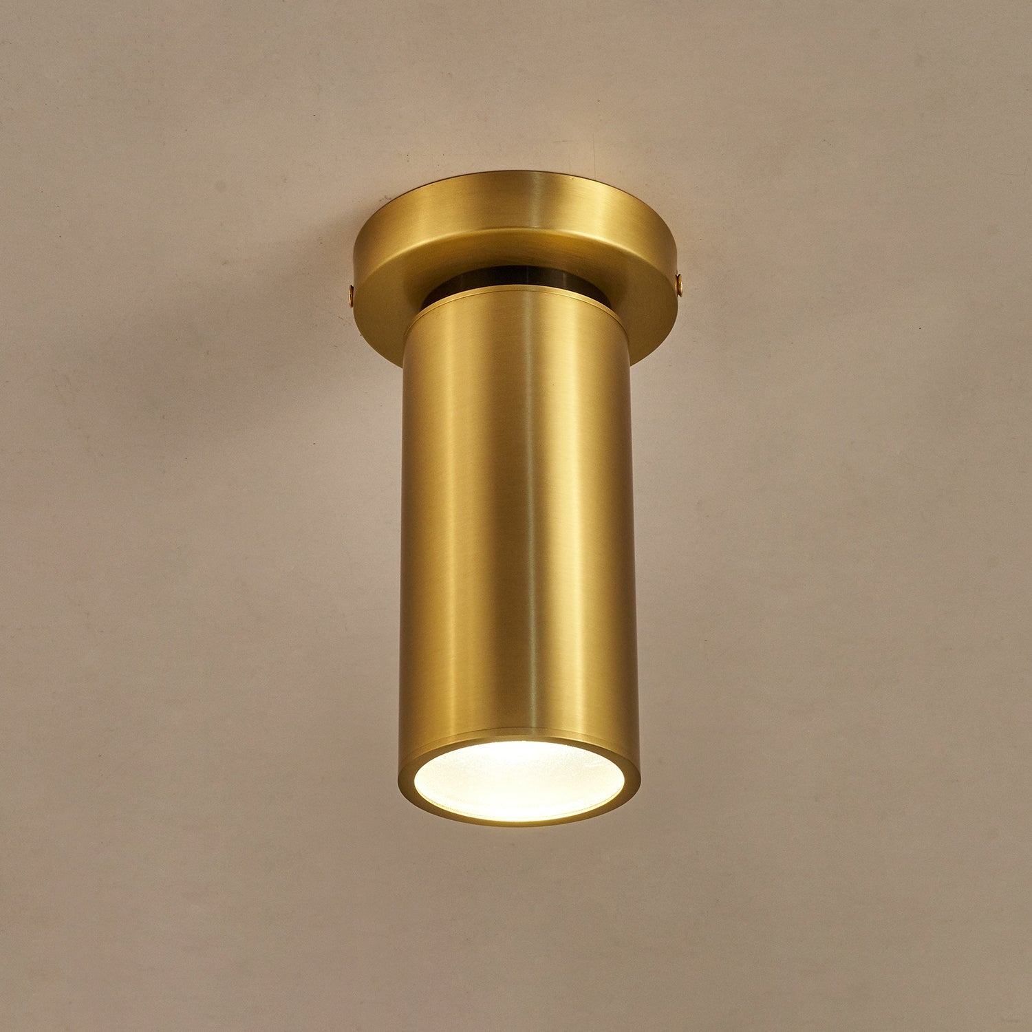 Bolizo Plafondlamp