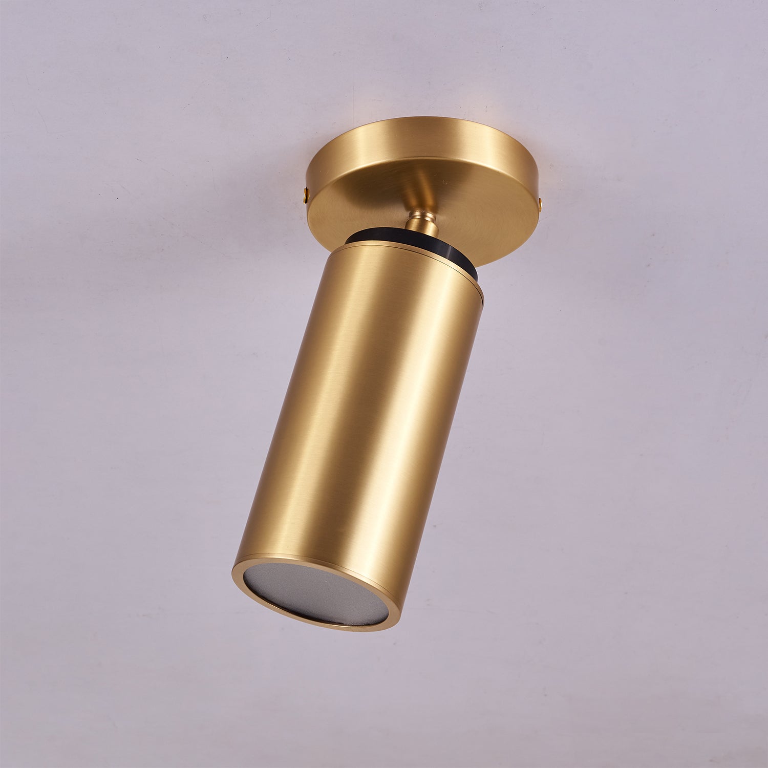 Bolizo Plafondlamp