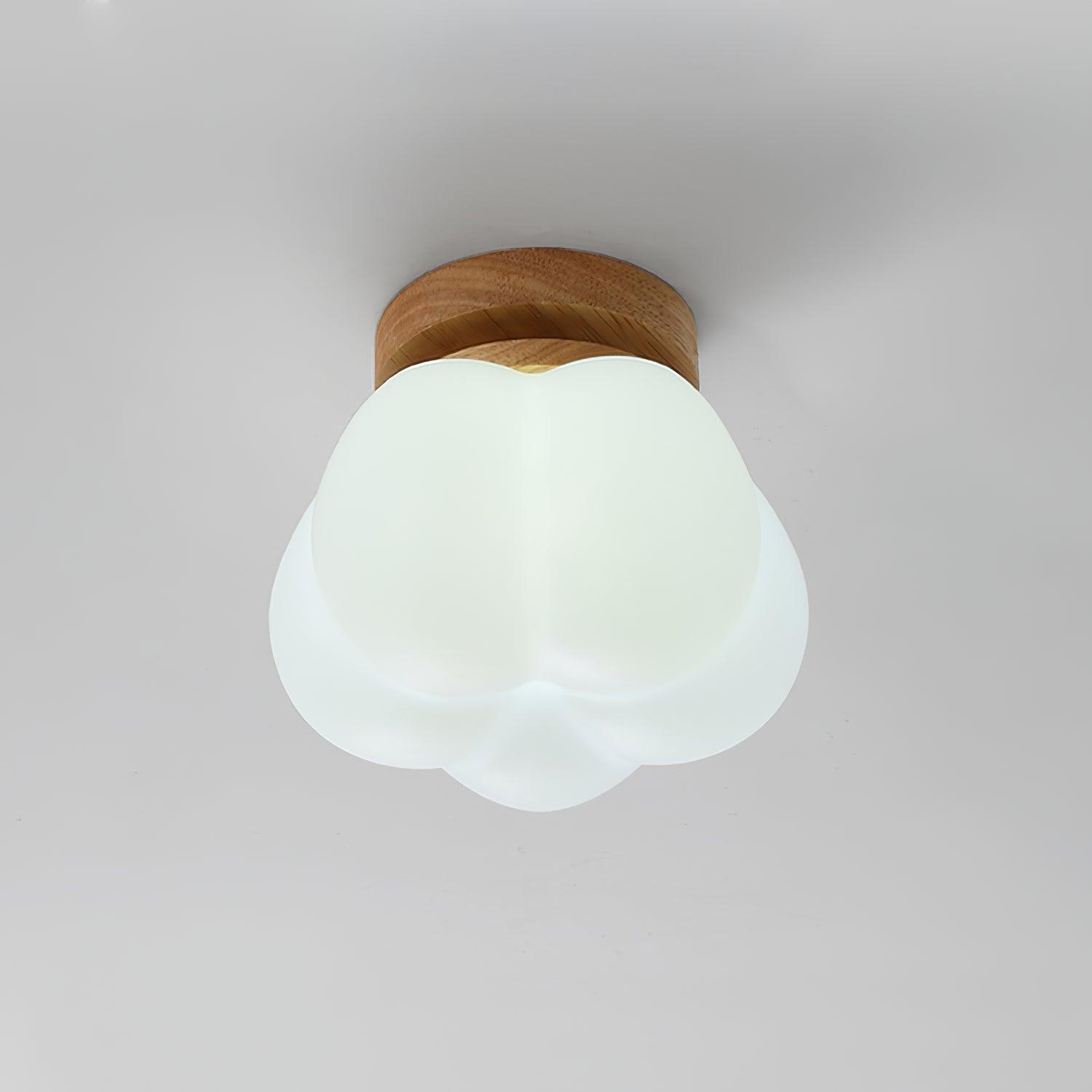Kopa Plafondlamp