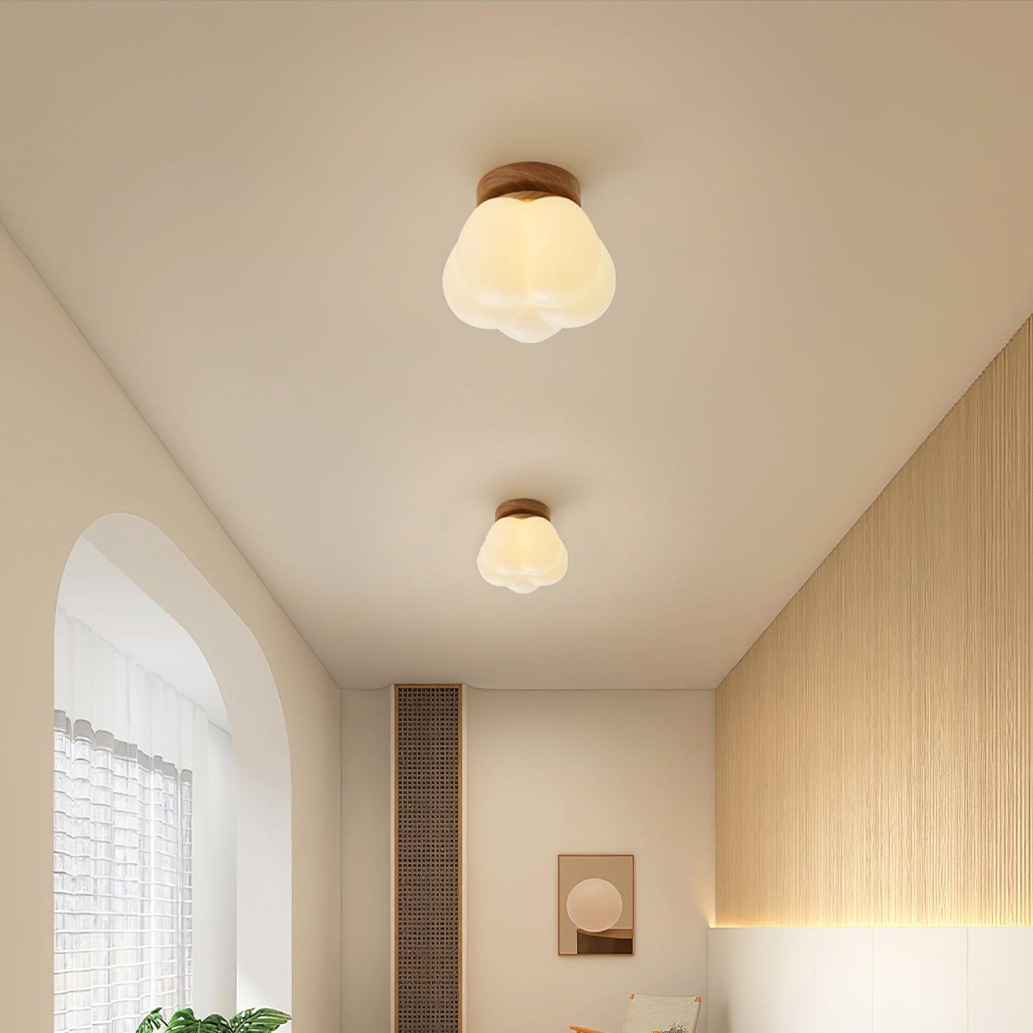 Kopa Plafondlamp