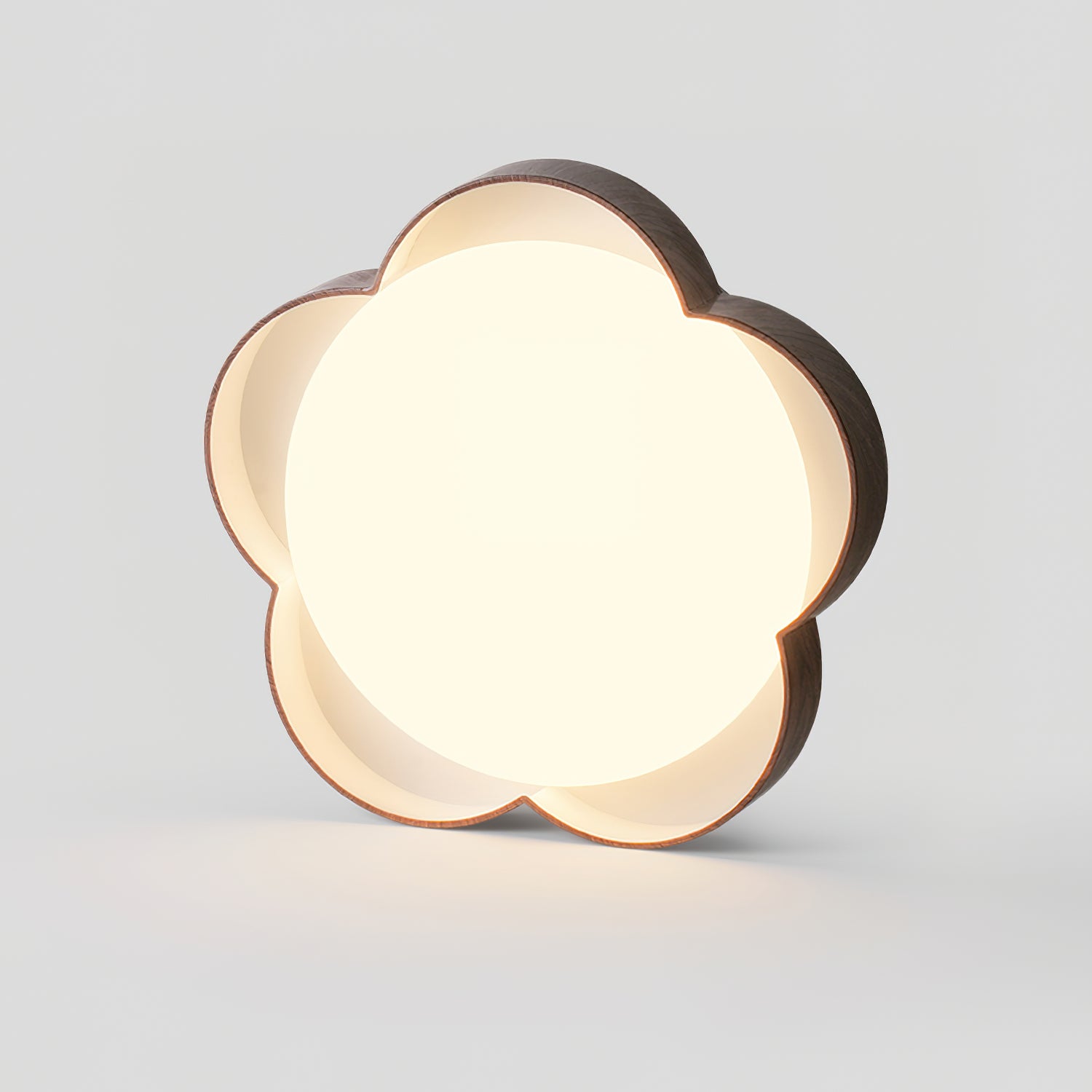 Lemniza Plafondlamp