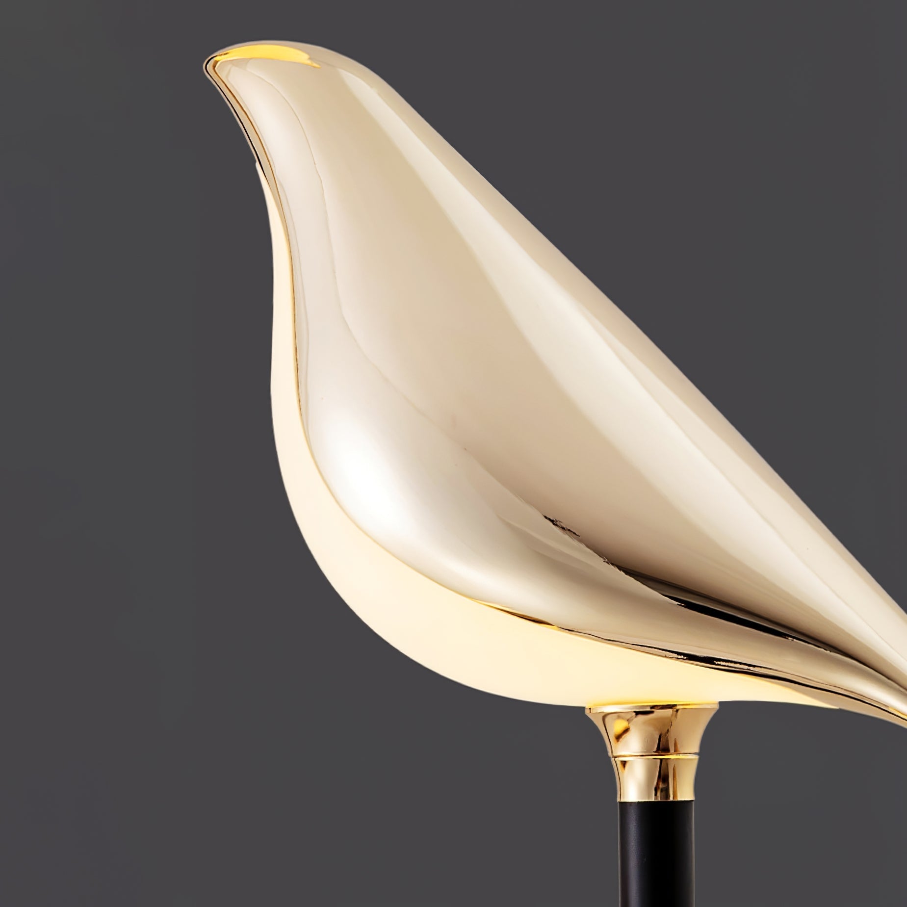 Birdmann Vloerlamp