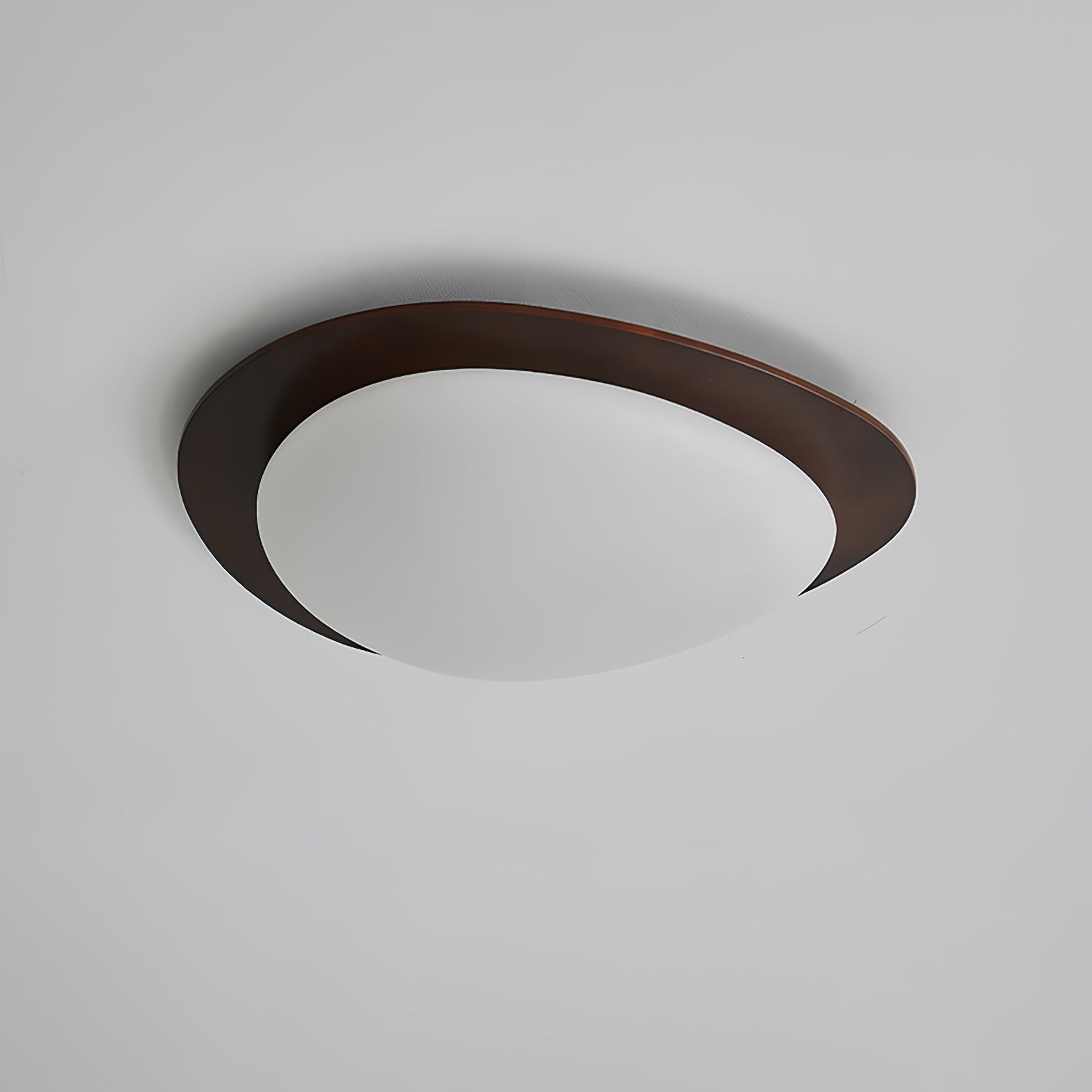 Poleso Plafondlamp