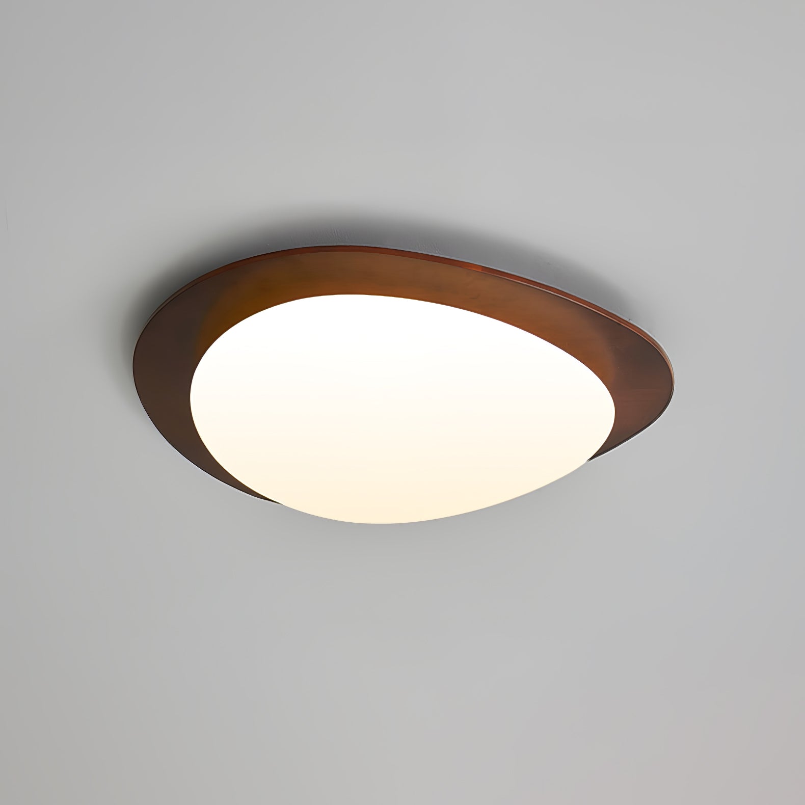 Poleso Plafondlamp