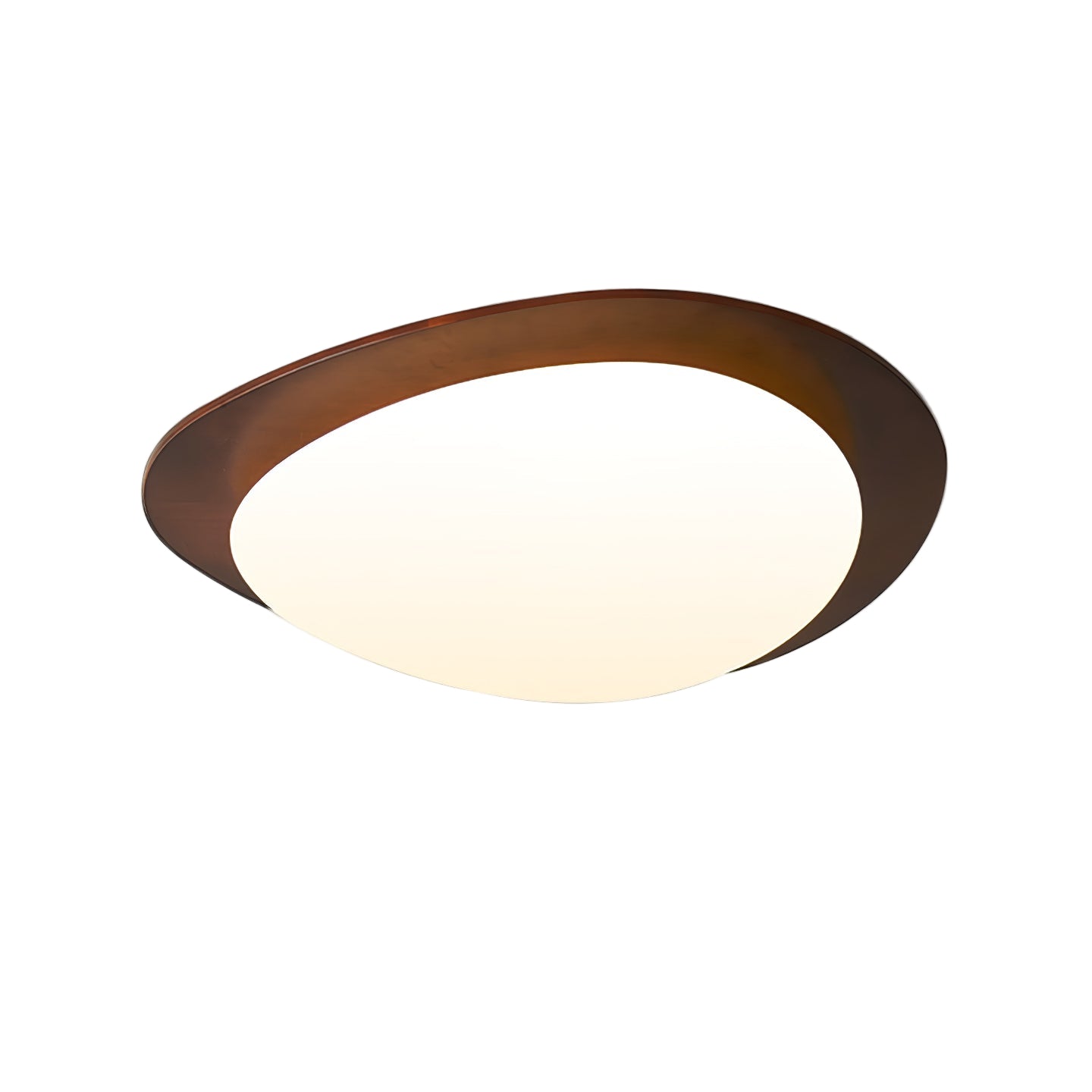 Poleso Plafondlamp