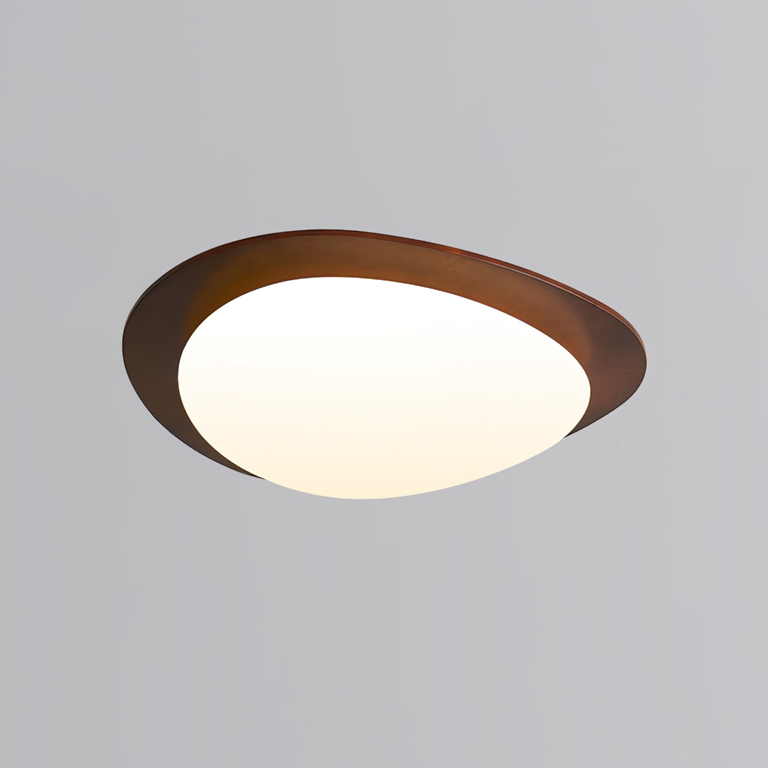 Poleso Plafondlamp