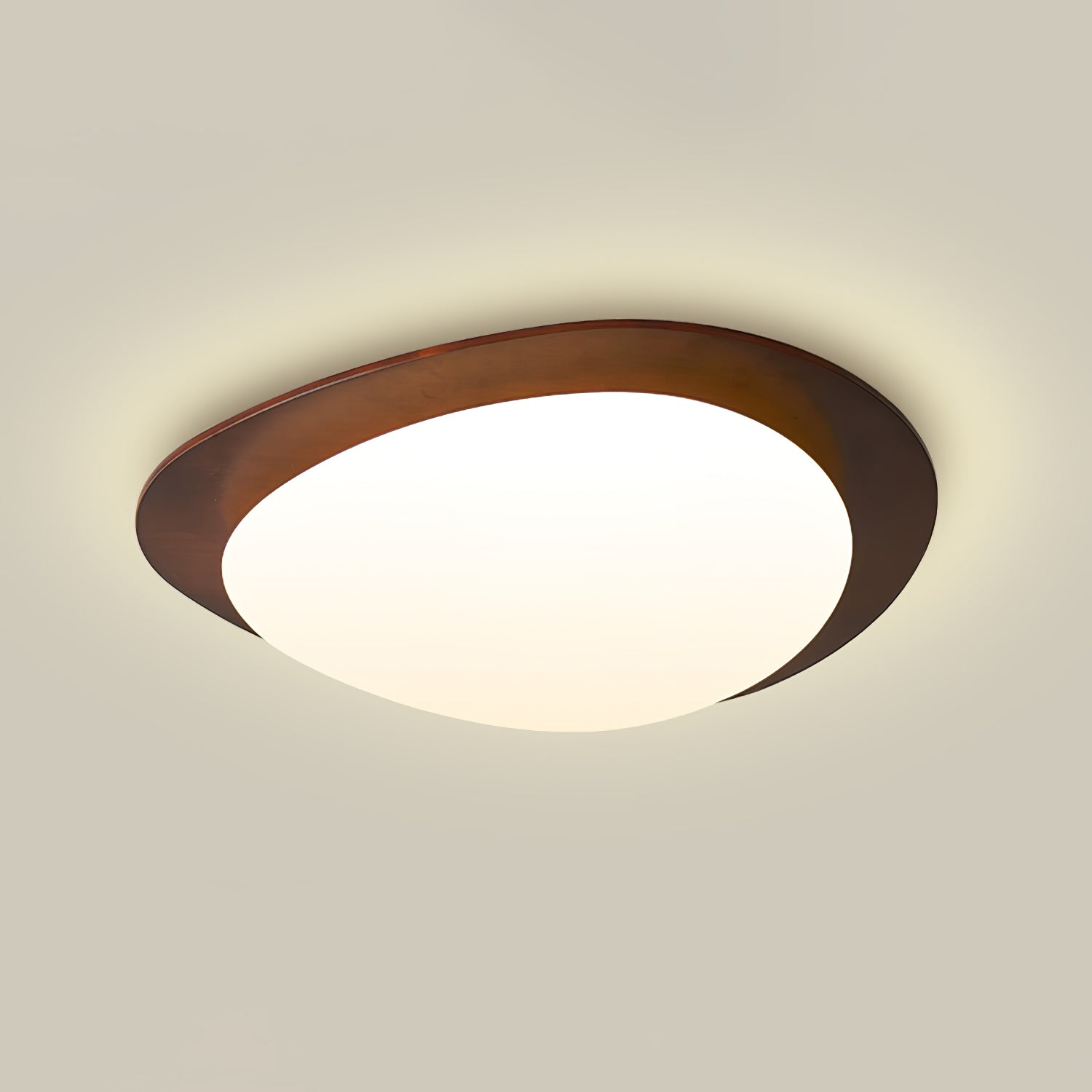 Poleso Plafondlamp