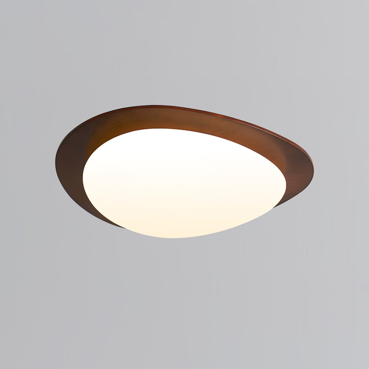 Poleso Plafondlamp