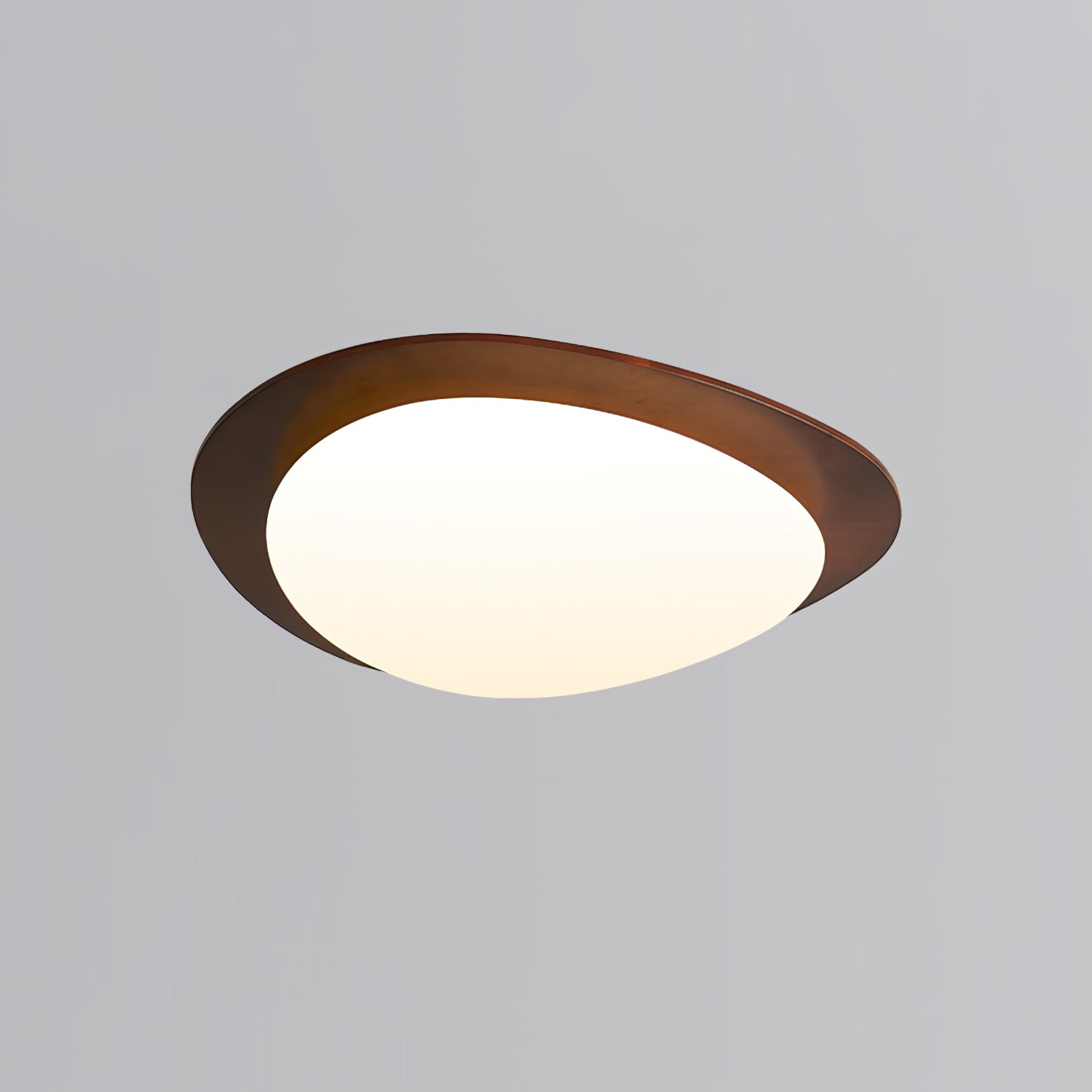Poleso Plafondlamp