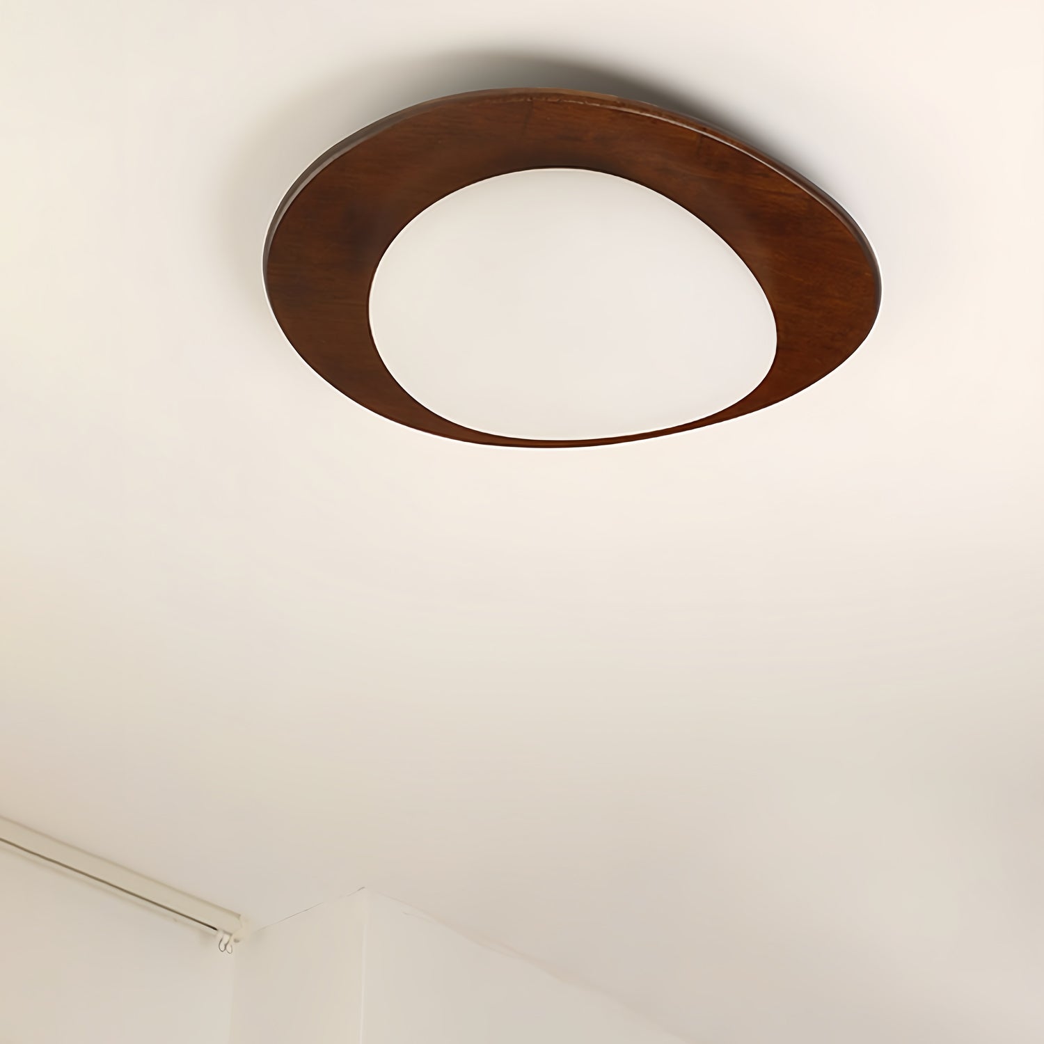 Poleso Plafondlamp