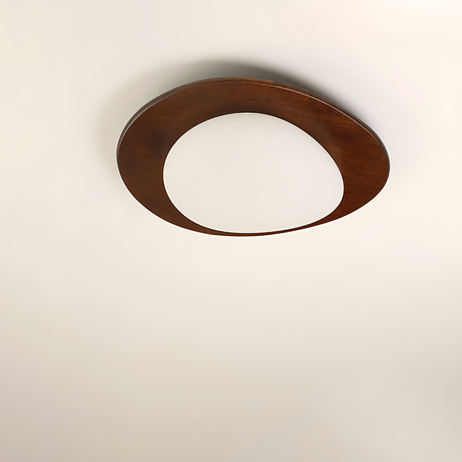 Poleso Plafondlamp