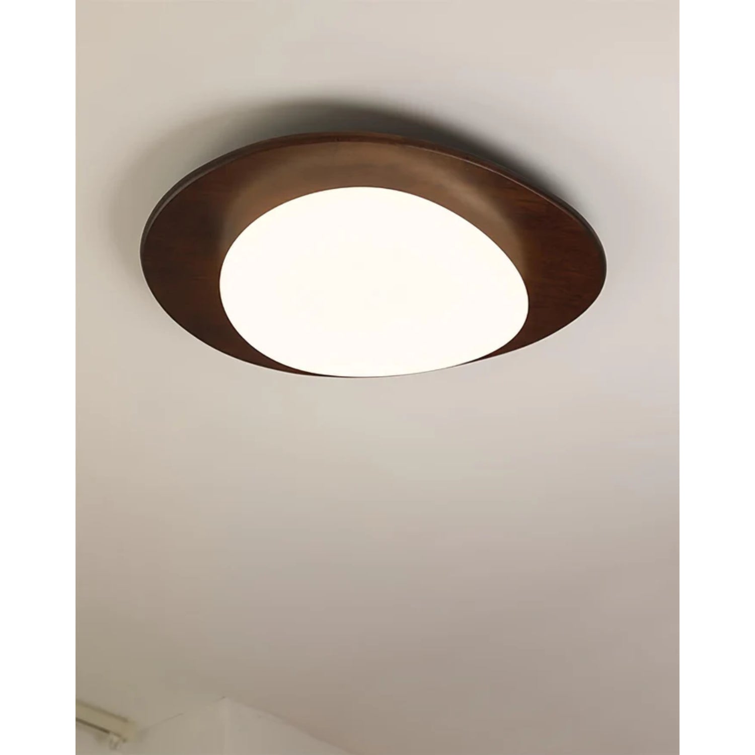 Poleso Plafondlamp