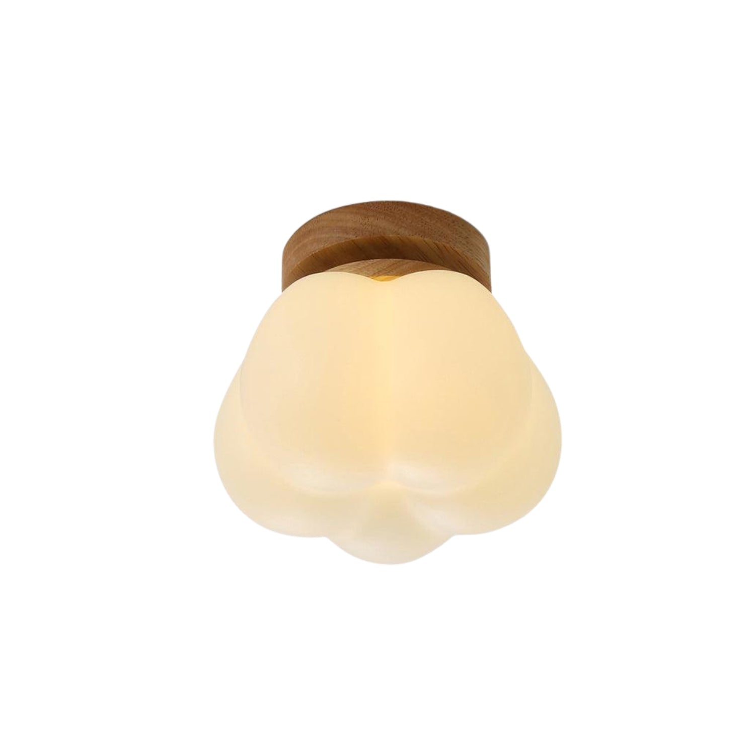 Kopa Plafondlamp