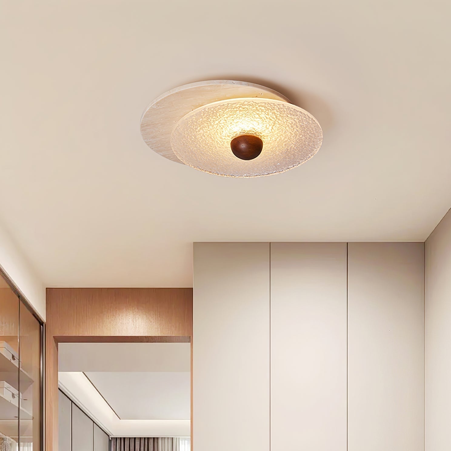 Radiza Dubbele Disc Plafondlamp