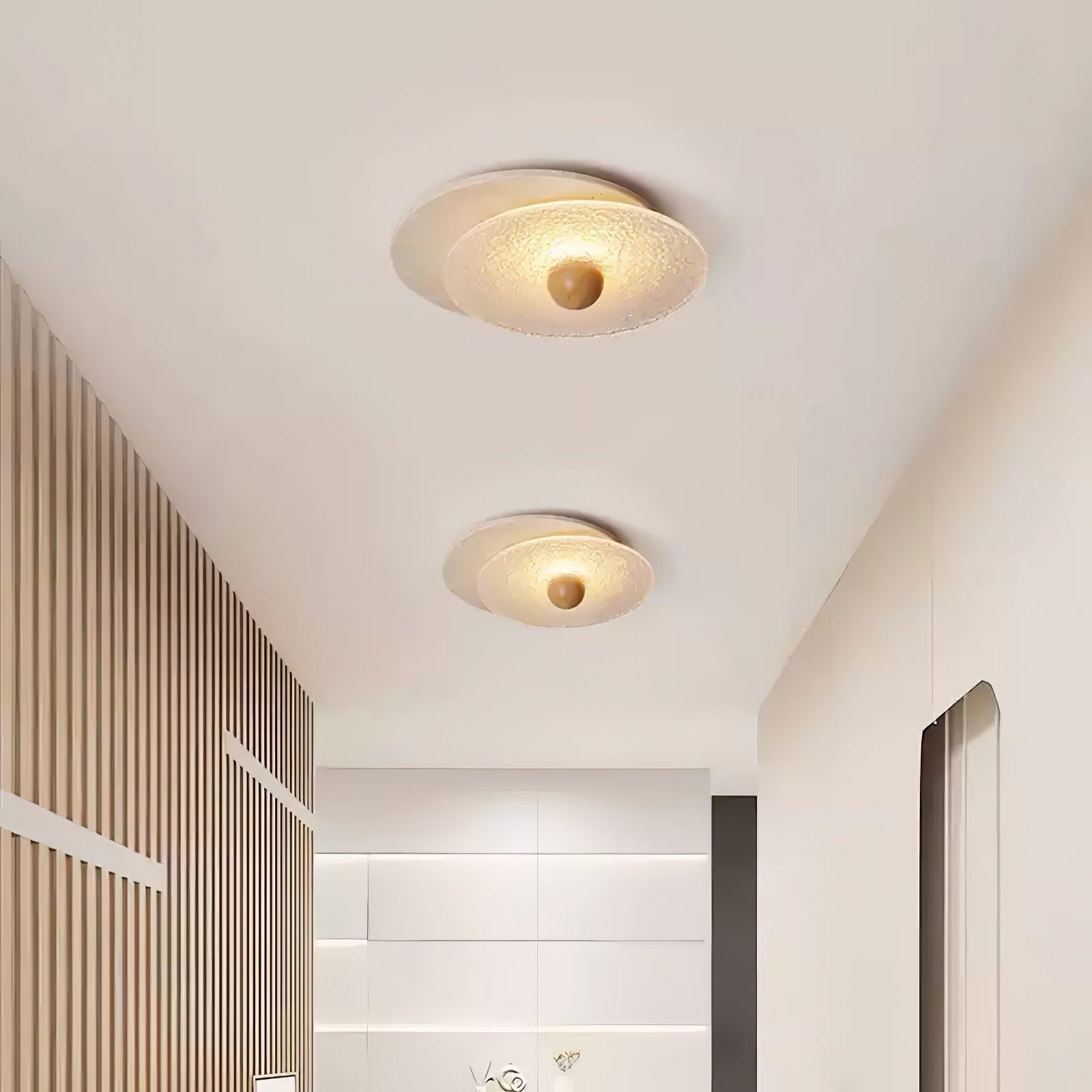 Radiza Dubbele Disc Plafondlamp