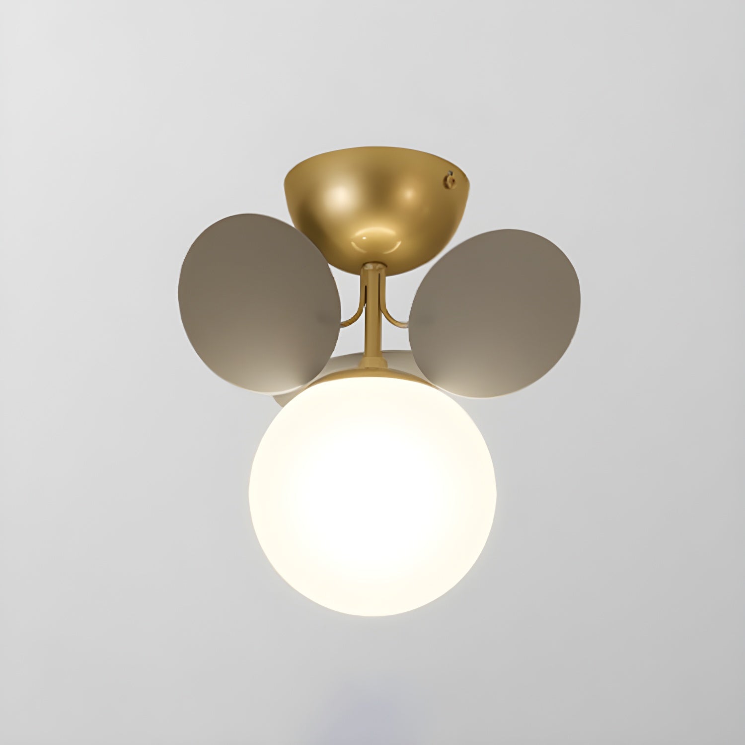 Rojisa Plafondlamp