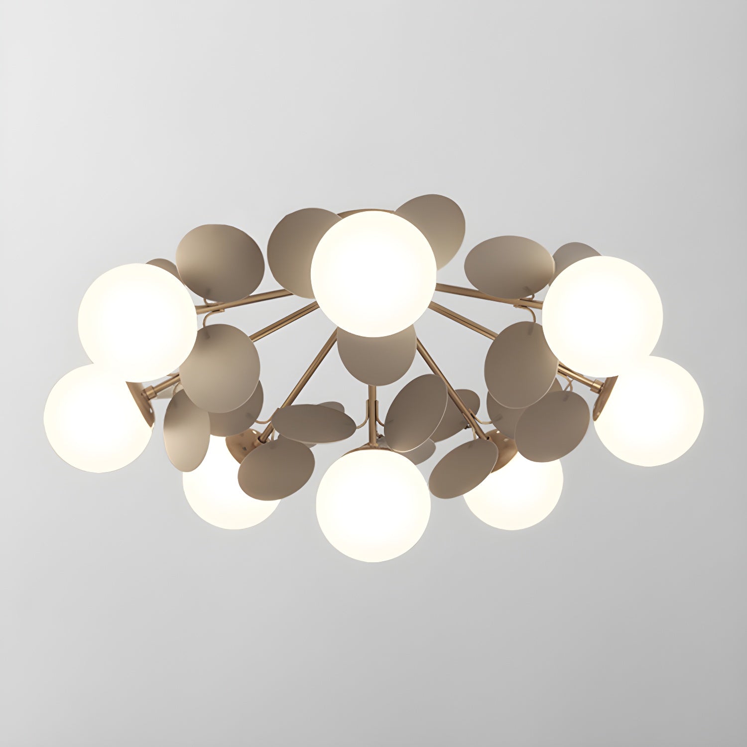 Rojisa Plafondlamp