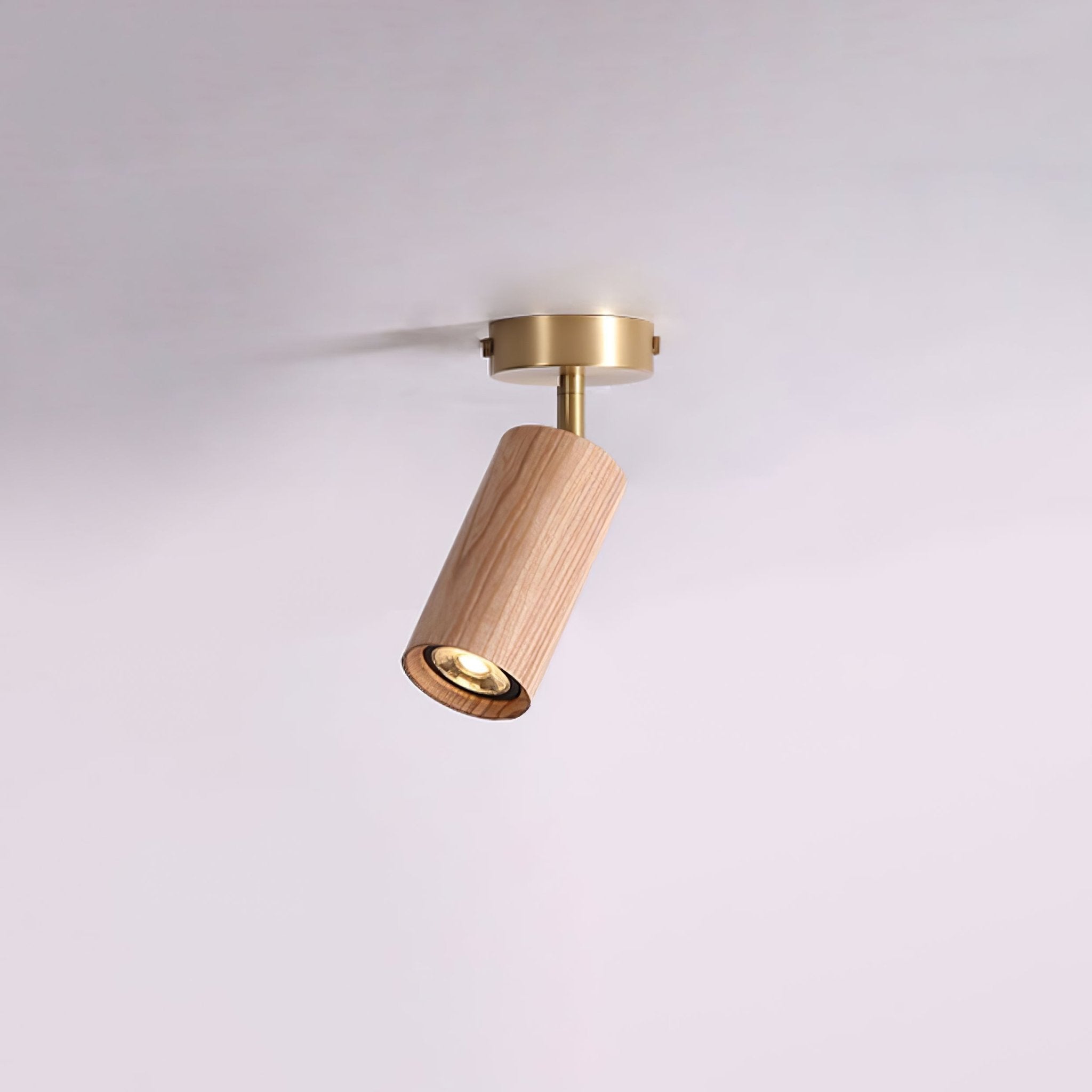 Romezan Plafondlamp