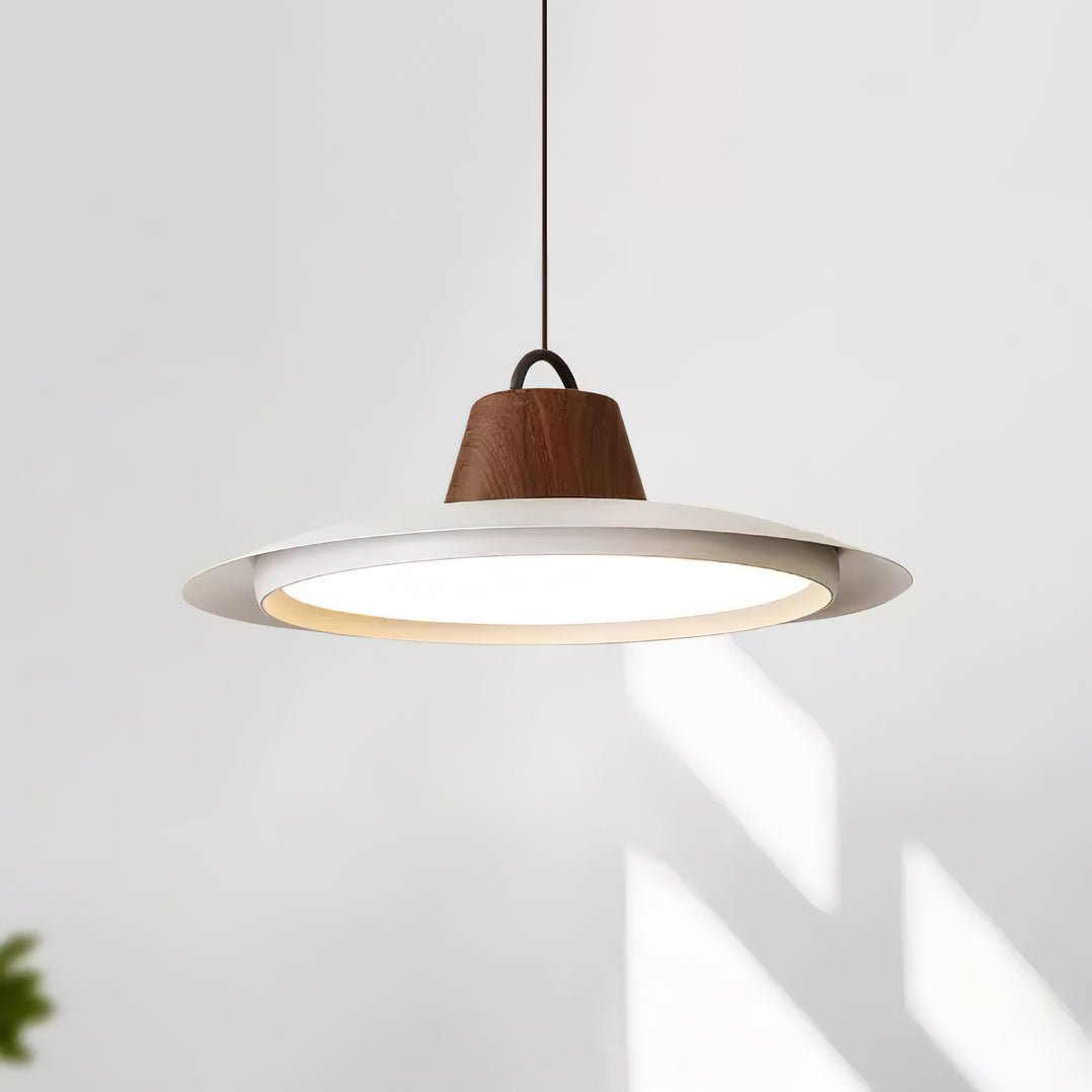 Ruilifo Hanglamp