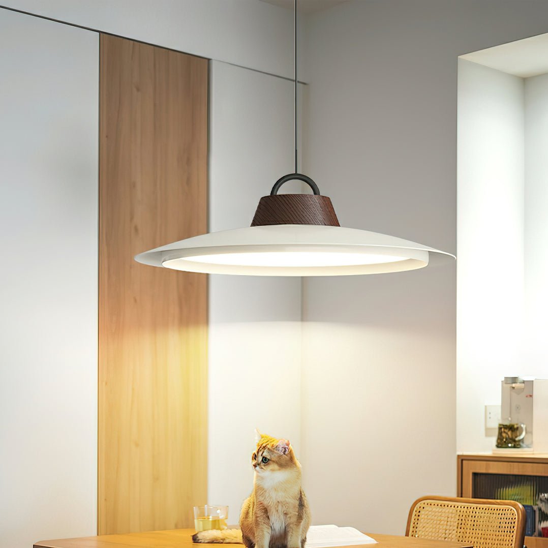 Ruilifo Hanglamp