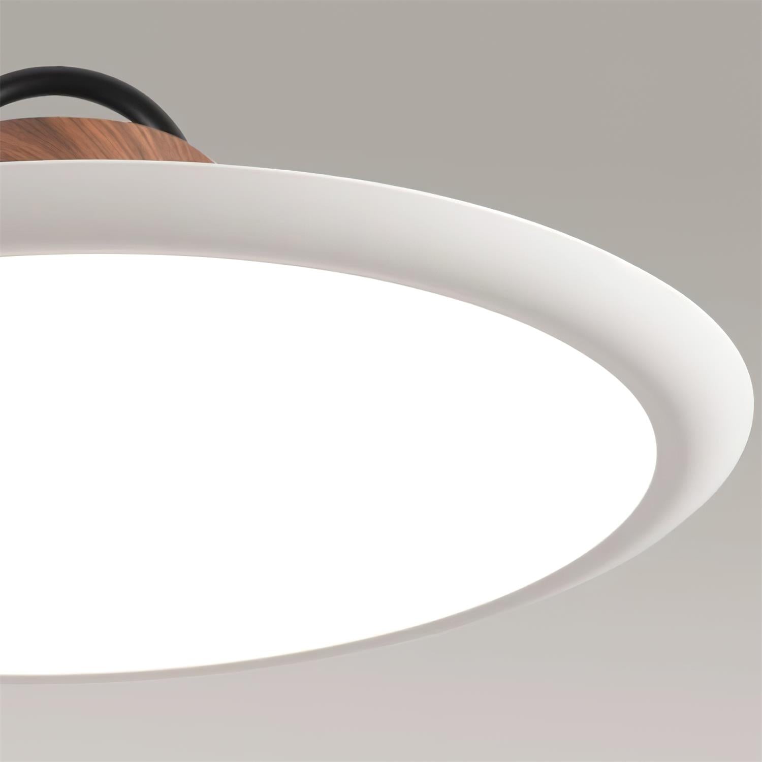 Ruilifo Hanglamp