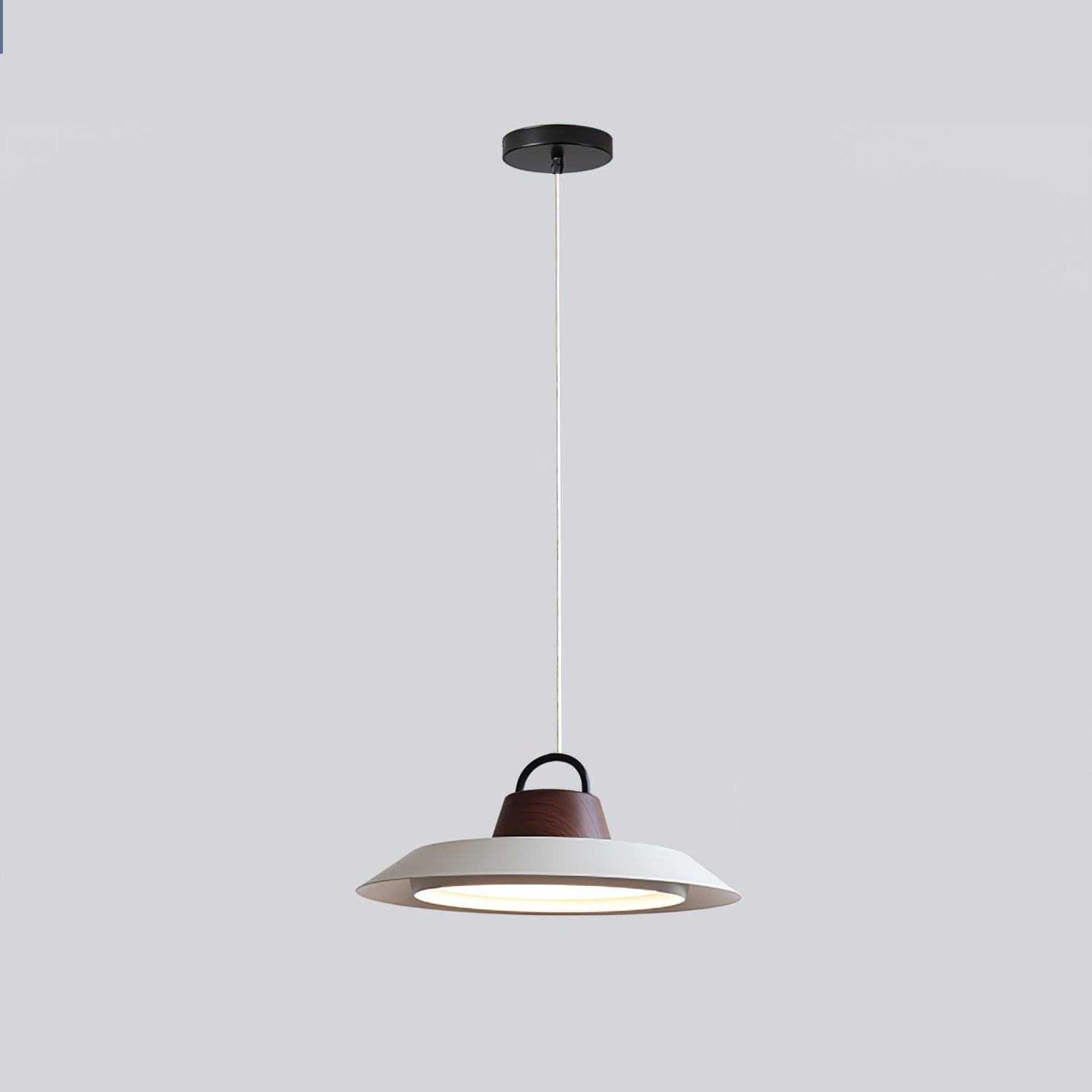 Ruilifo Hanglamp
